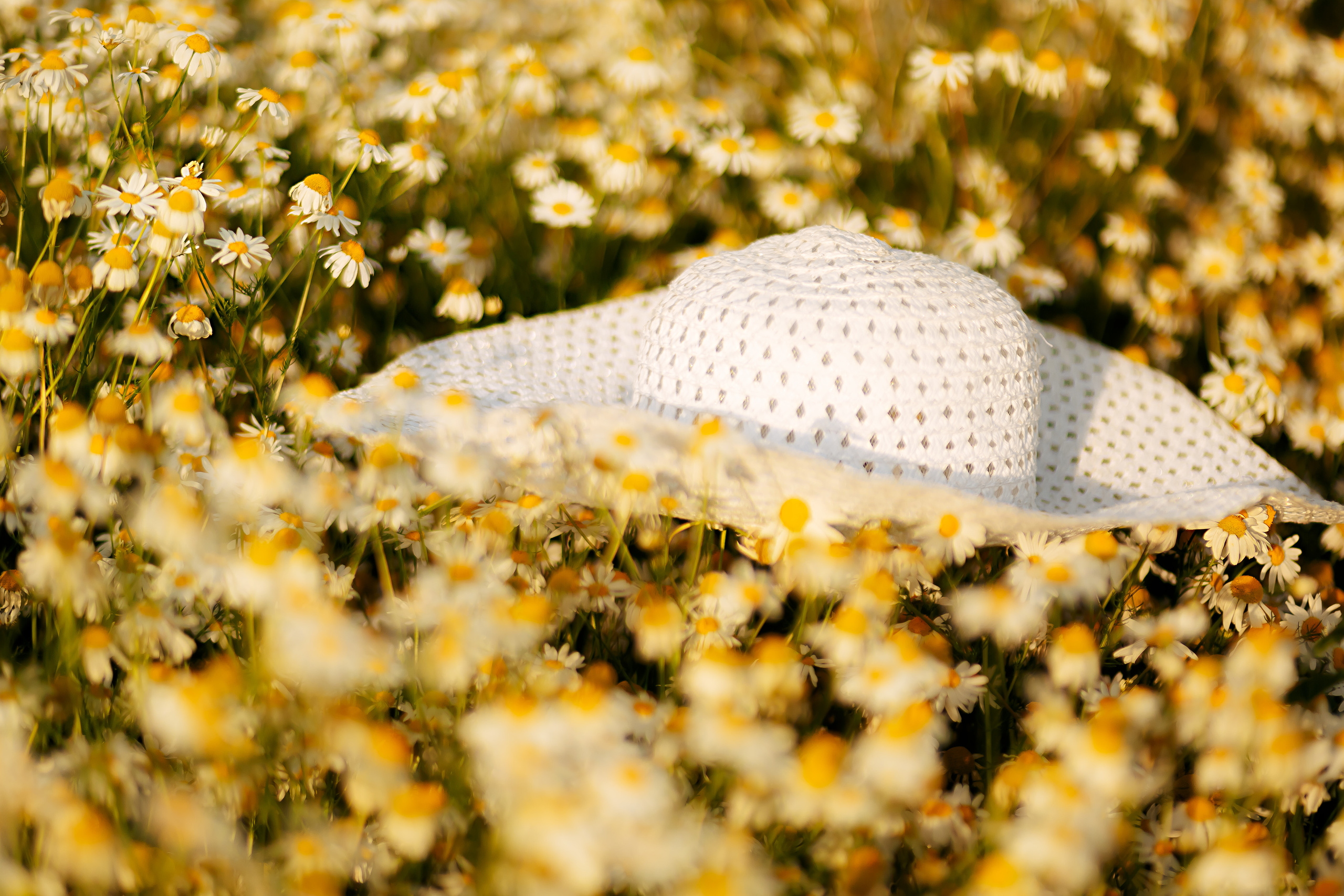 Ромашки. Съемка Таинств Крещения Венчания, детские и семейные съемки в Пензе