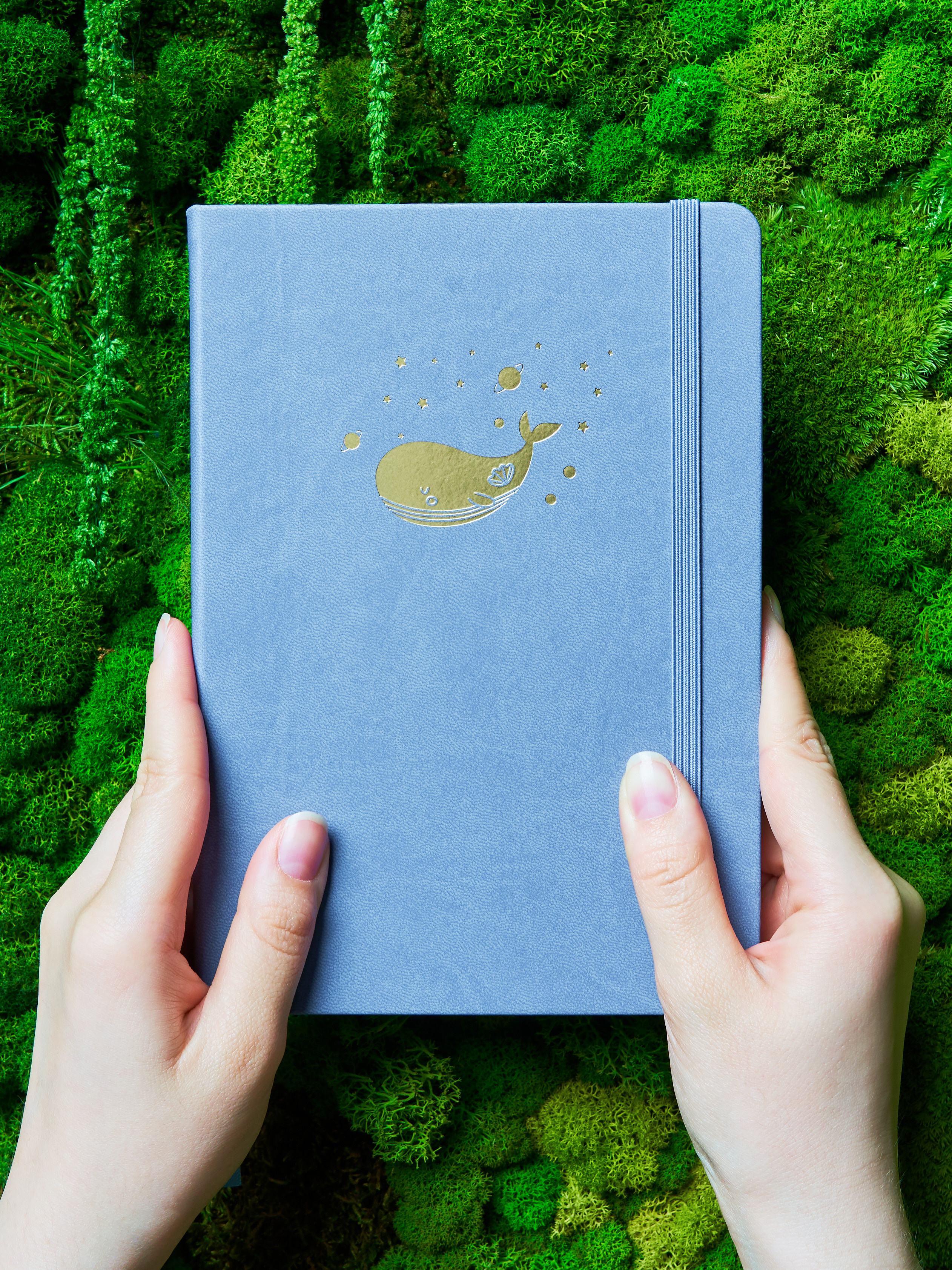 Предметная съемка. Портретный фотограф в Москве