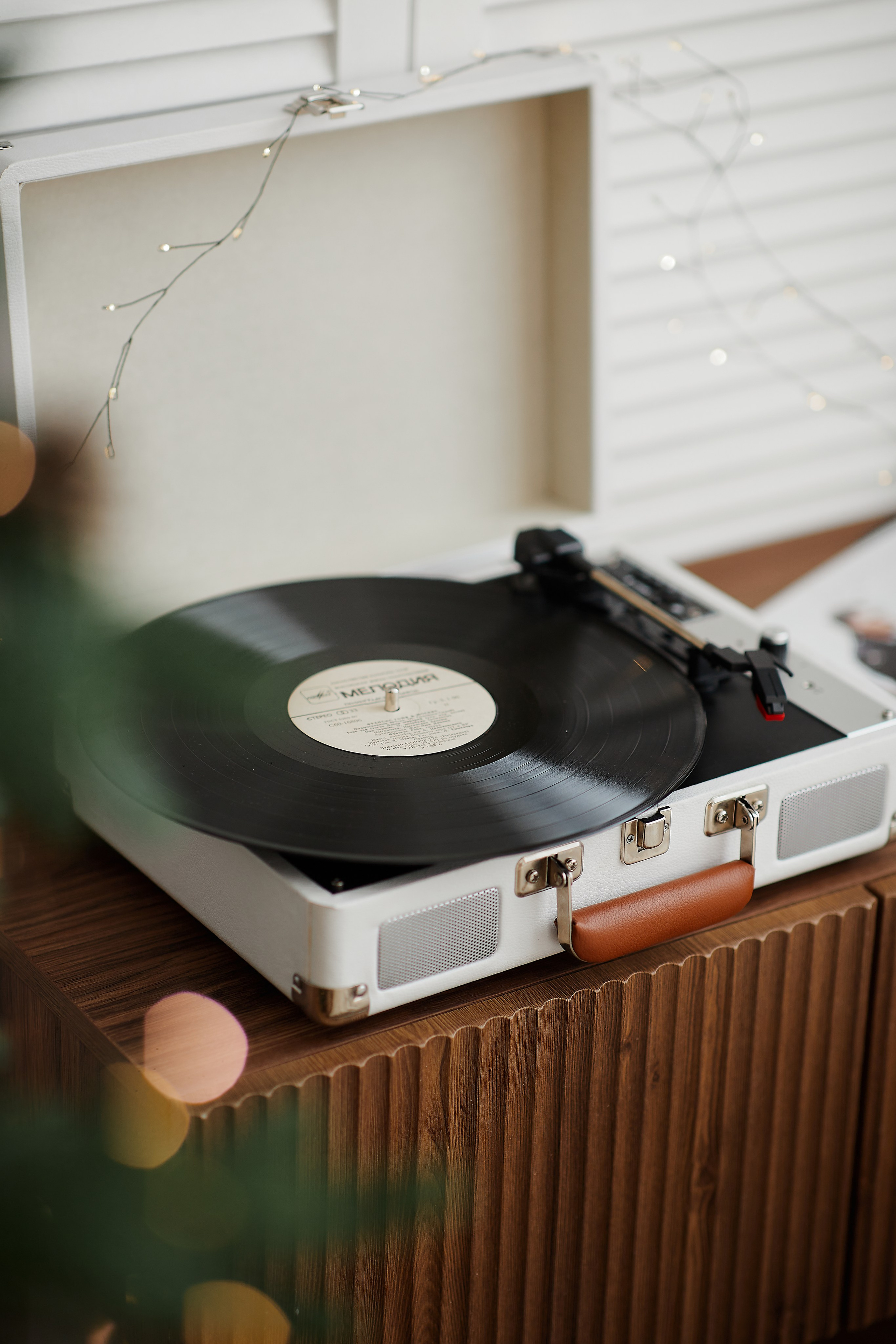 Family (Транспортная 5). Семейный фотограф Валентина Качур в Сочи