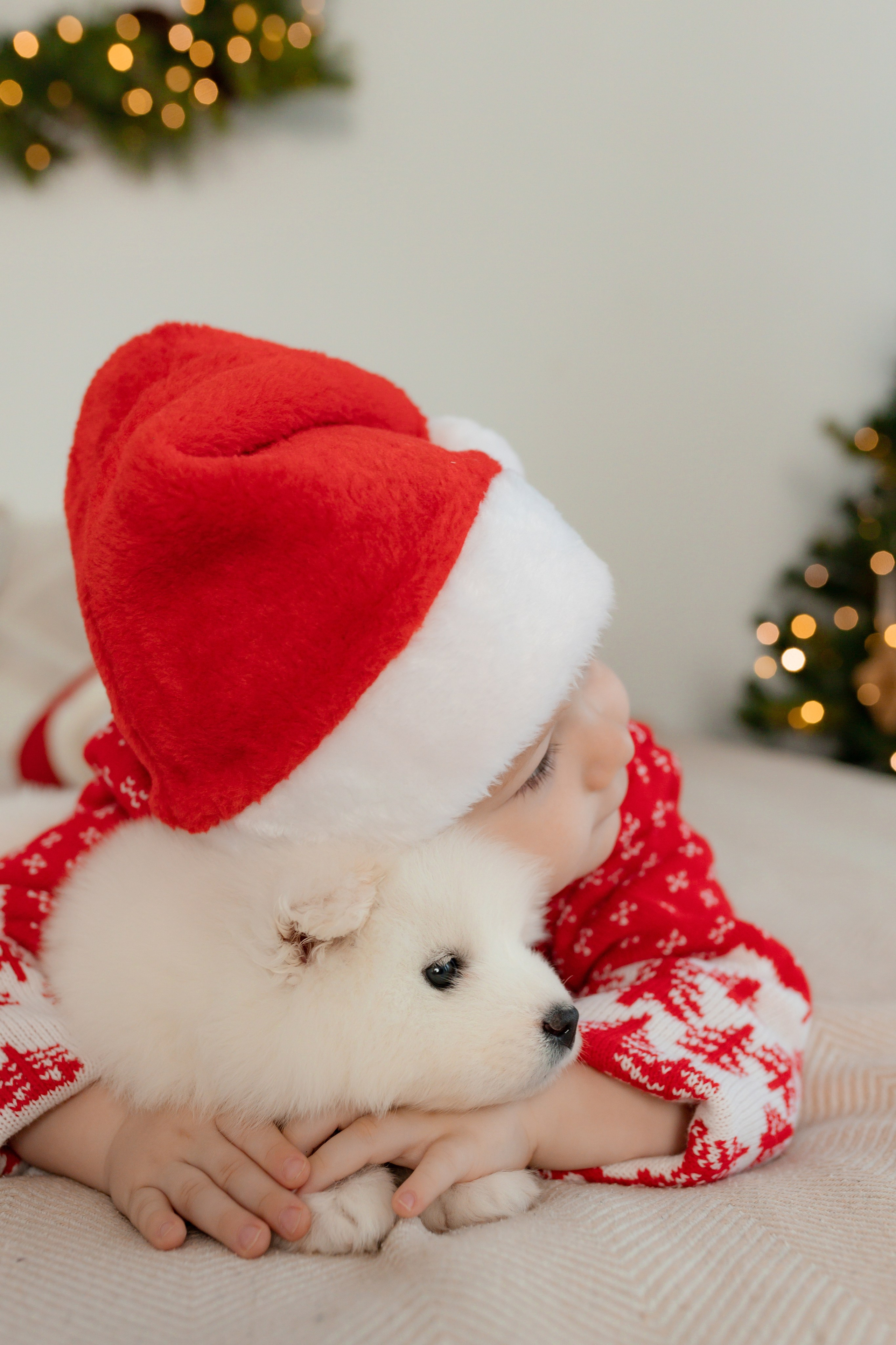 Новогодние съёмки. Интерьерная фотостудия в г. Барнаул