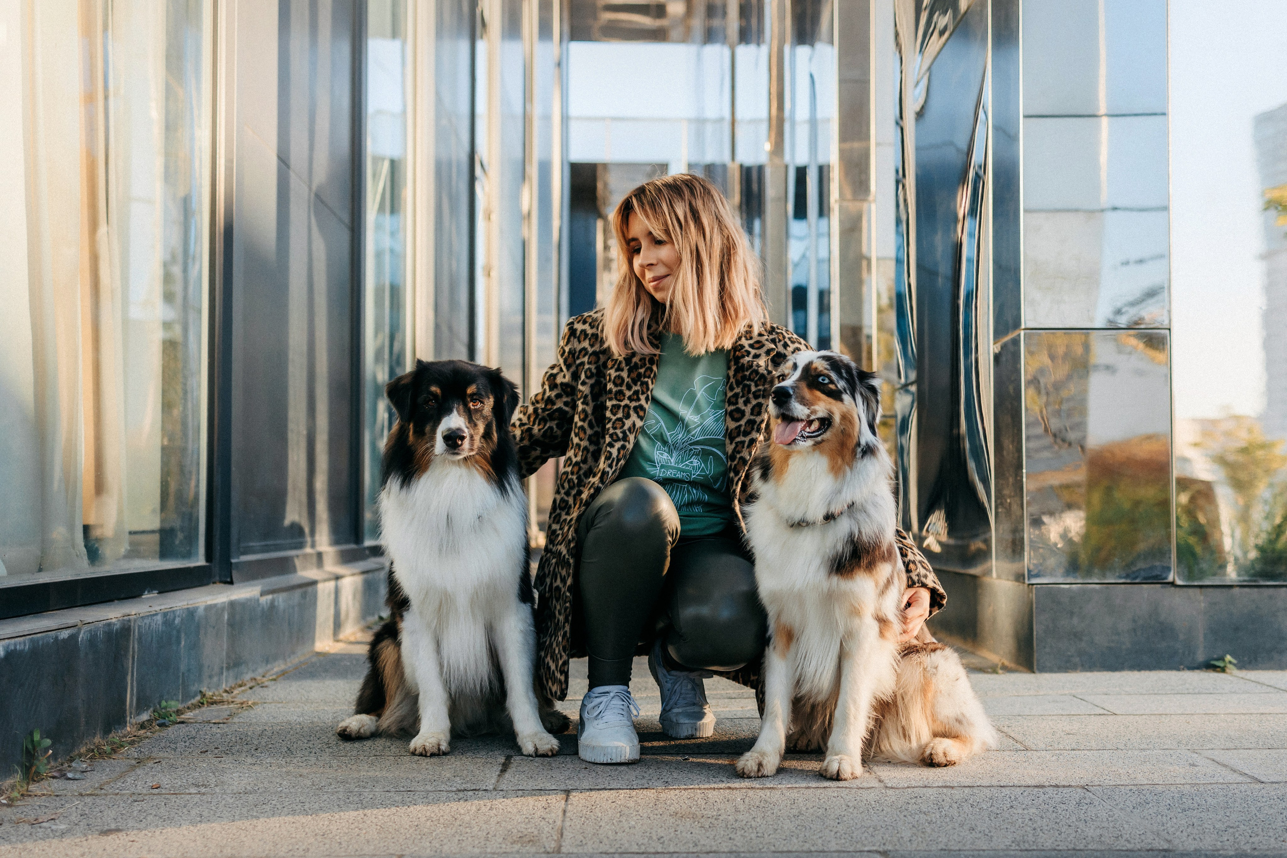 Аня, Чарли и Ева. Фотограф-анималист Елена Радченко, Москва