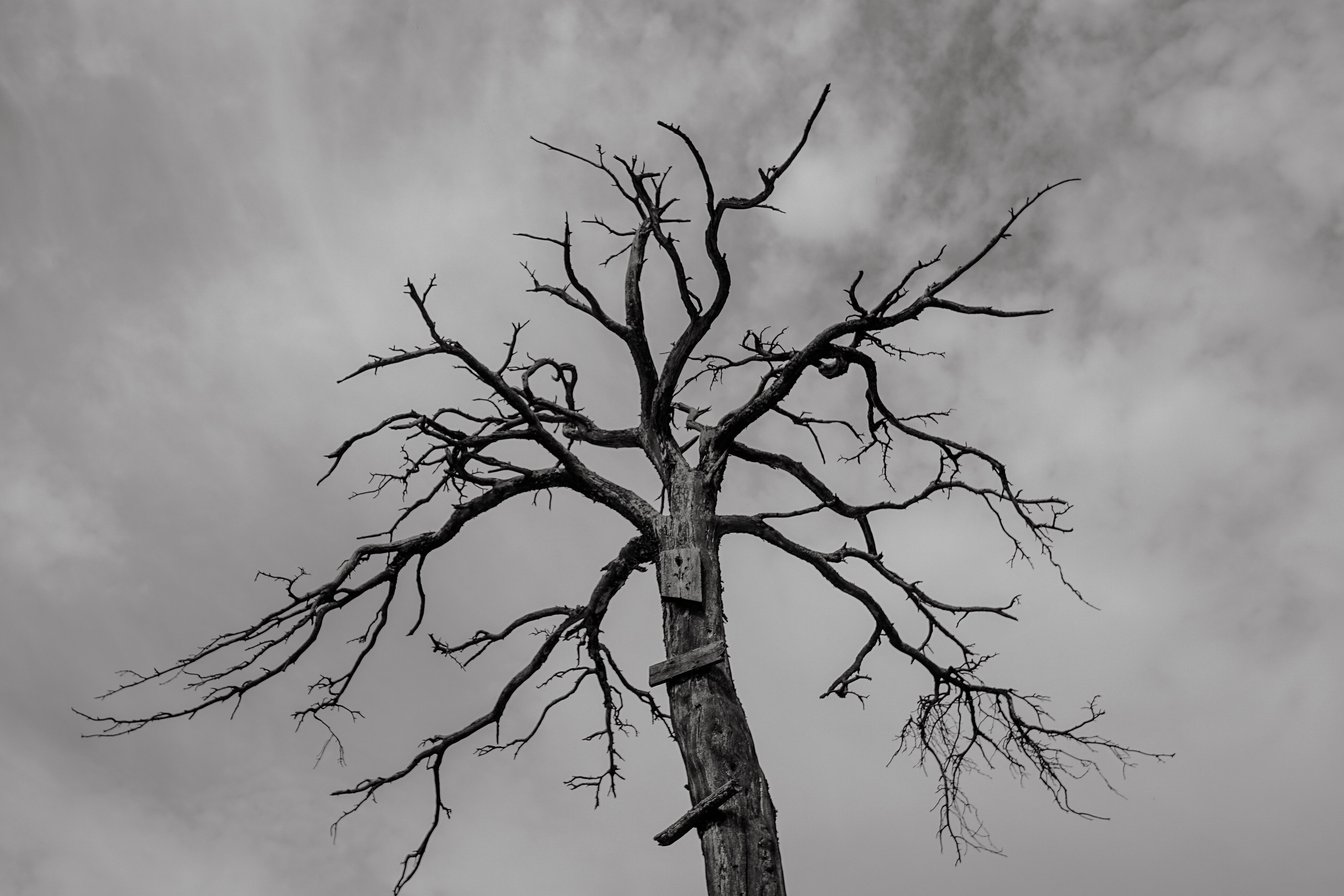 EXHIBITION. Репортажный и интерьерный фотограф, фотохудожник