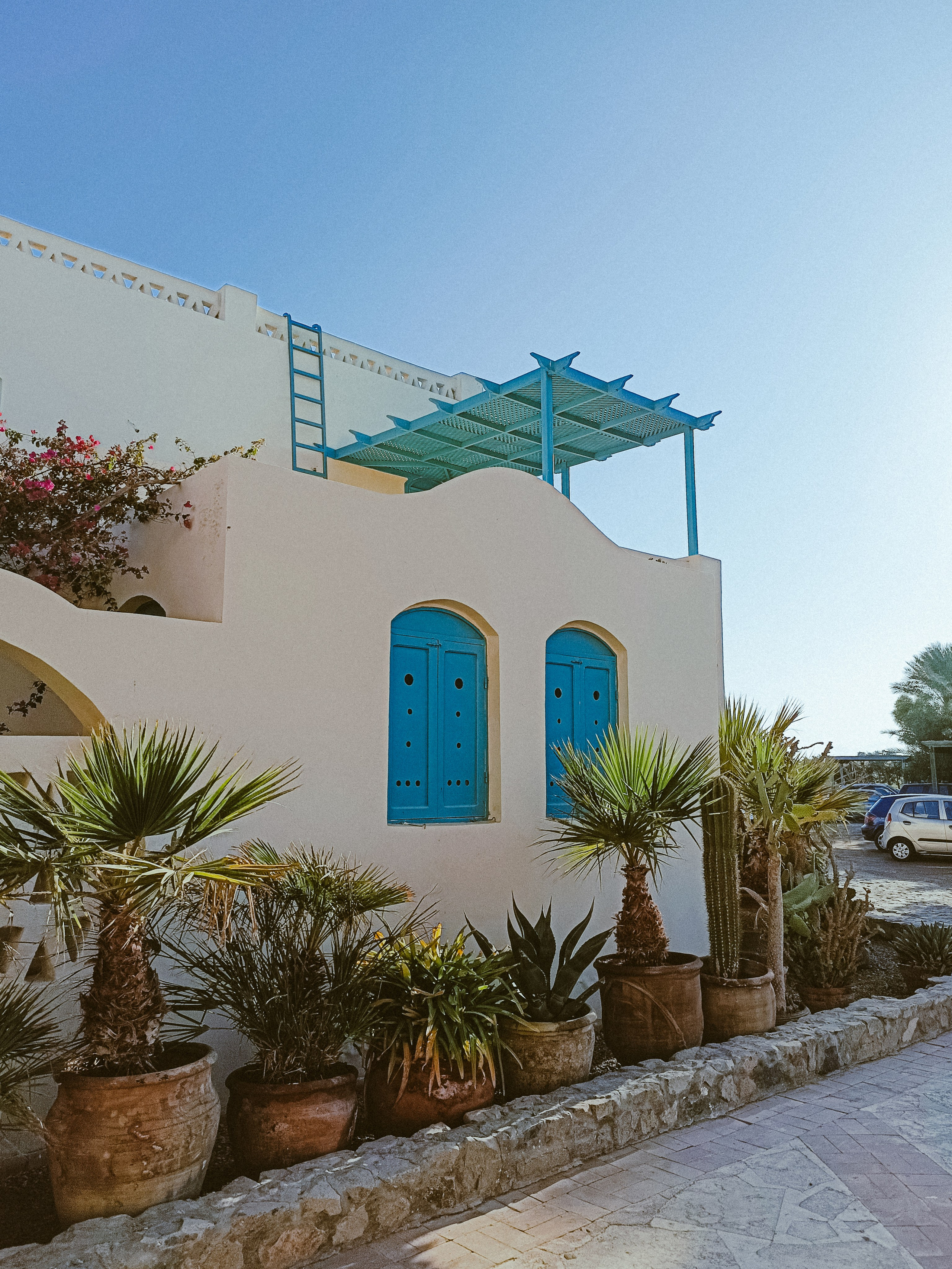 Мобильная. Jorgis — фотограф в Хургаде / обучение фотографии