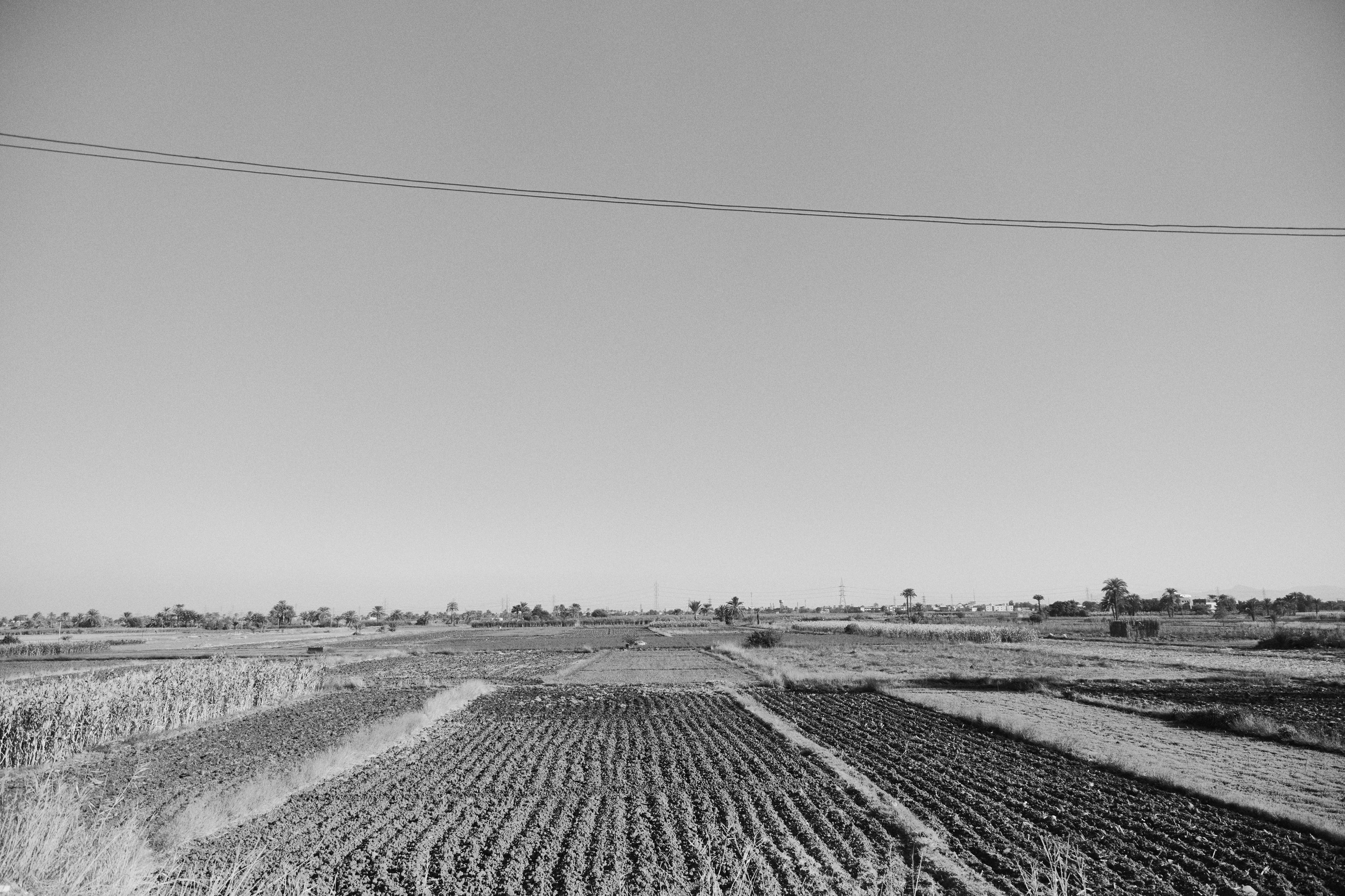 Другое 4. Jorgis — фотограф в Хургаде / обучение фотографии