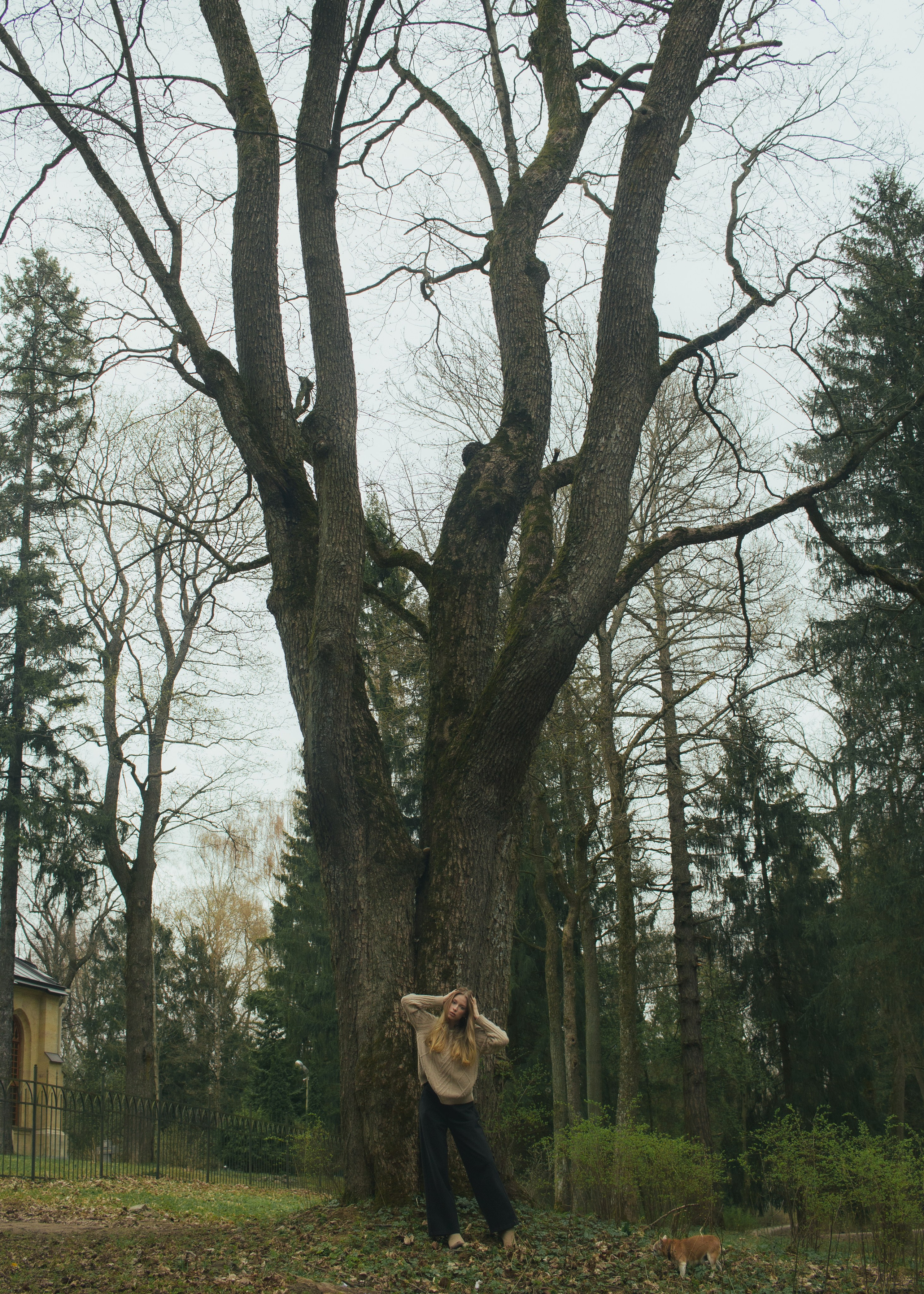 Портфолио. Портретный фотограф DanilNabody