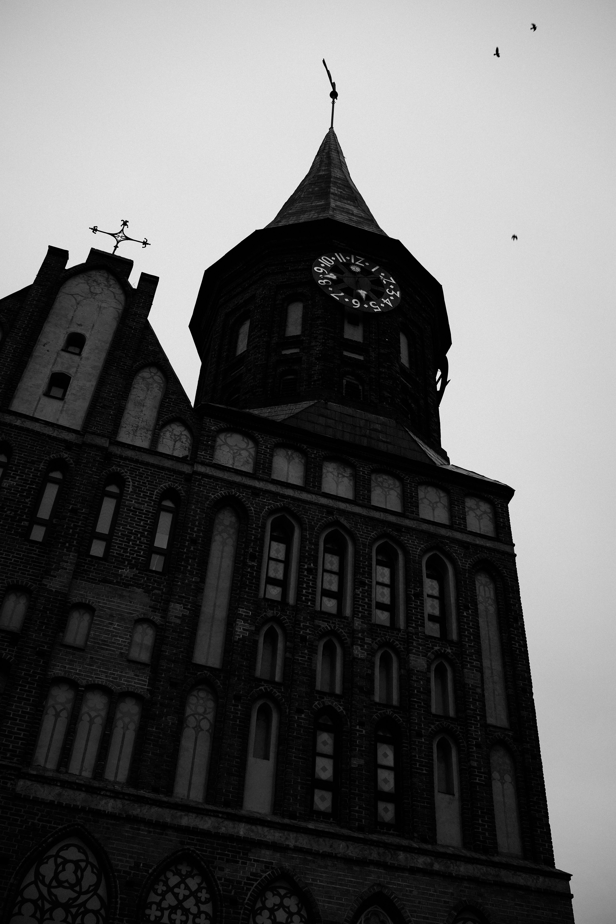 Калининград. Портретный фотограф DanilNabody