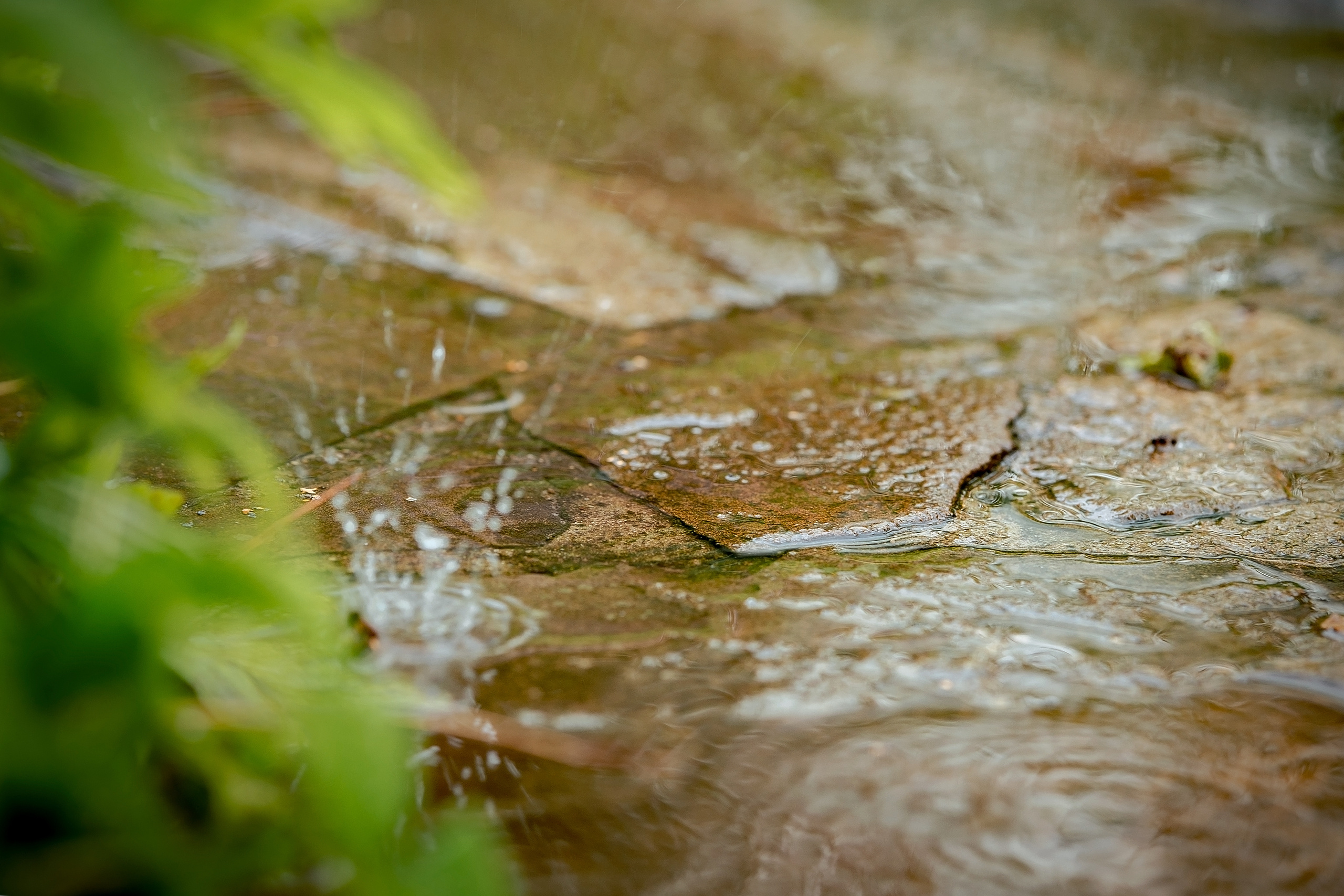 Свадебная фотосессия В Звездном городке. Свадебный и семейный фотограф Виктория Носачёва. Щелково, Москва и МО