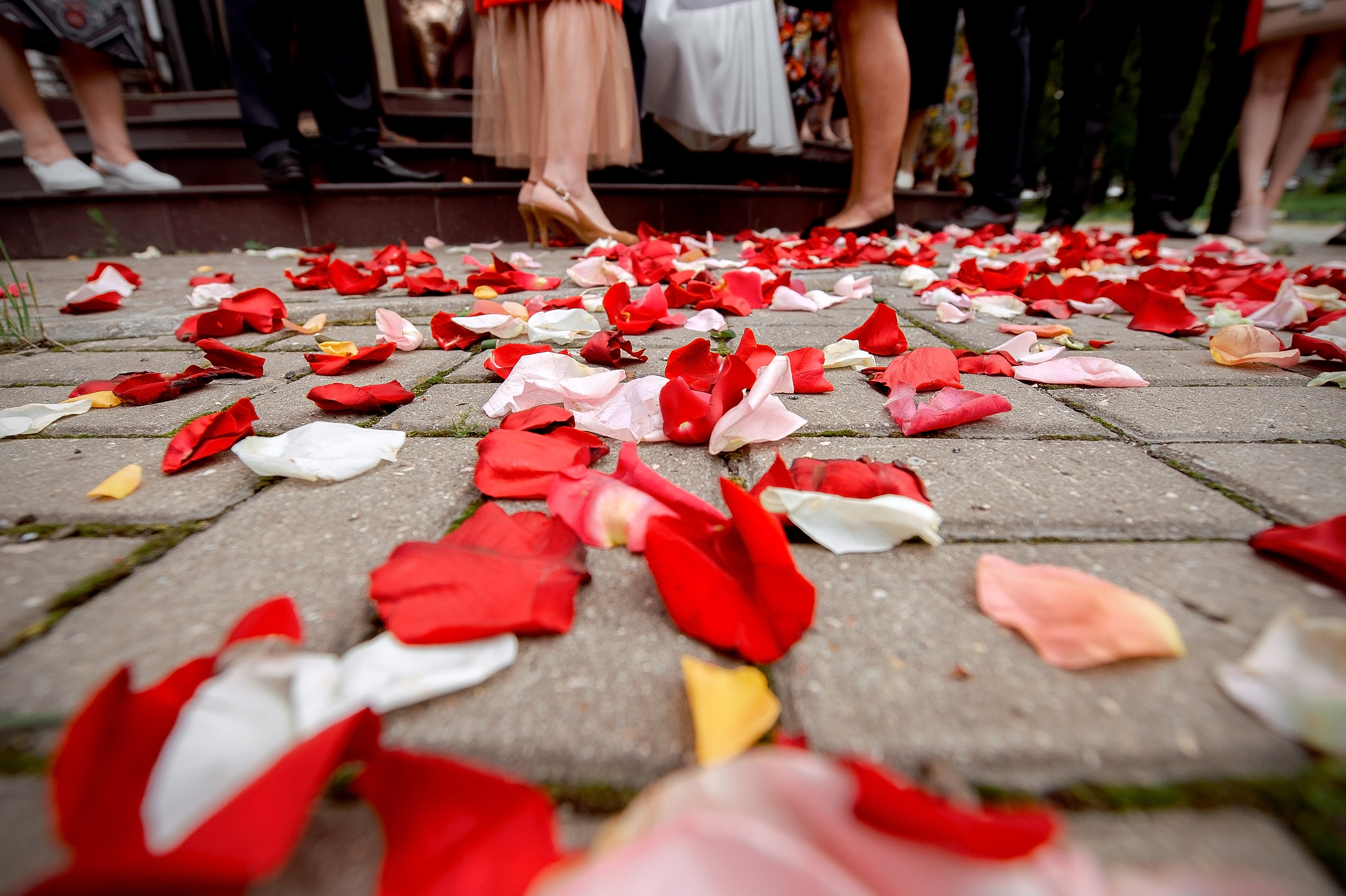 Свадьба в Балашихе летом полный день. Свадебный и семейный фотограф Виктория Носачёва. Щелково, Москва и МО