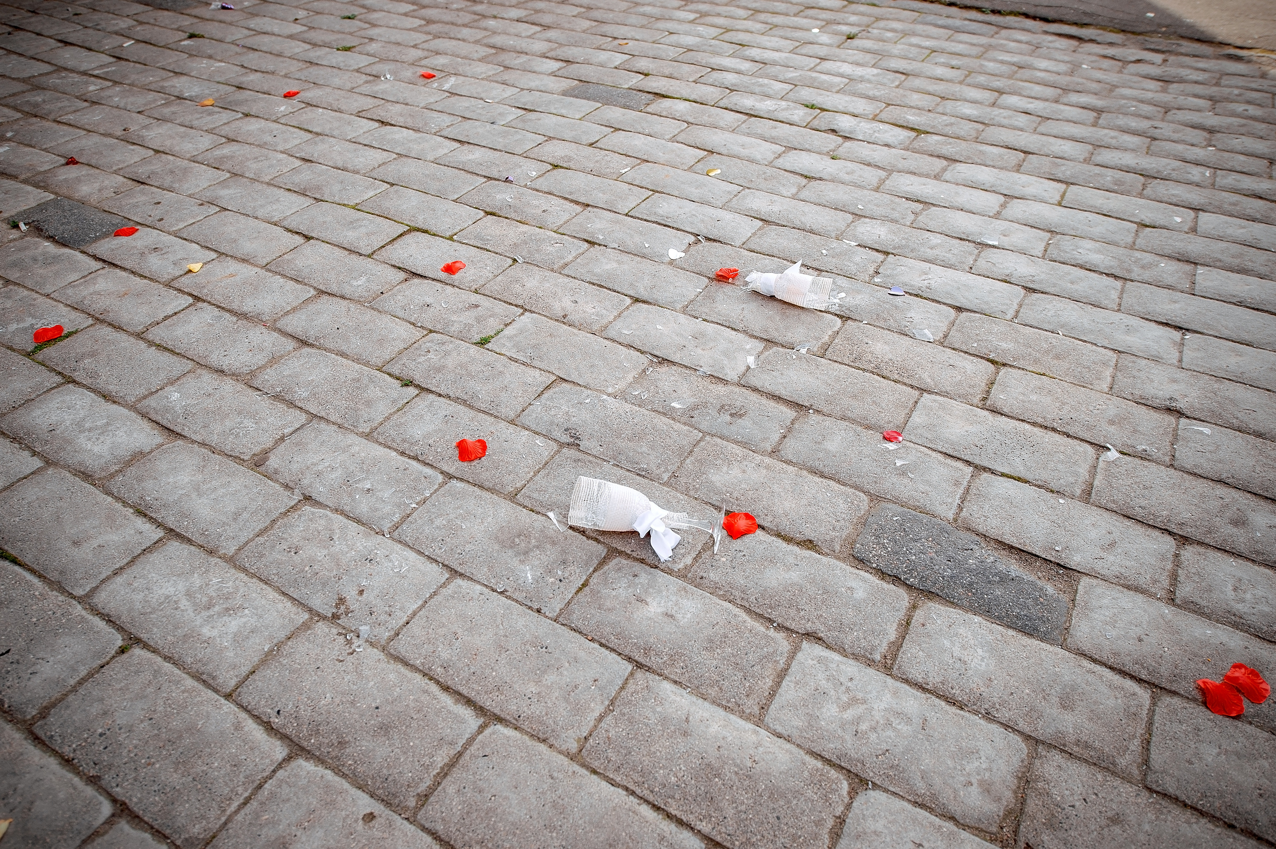 Свадьба в Ивантеевке летом полный день. Свадебный и семейный фотограф Виктория Носачёва. Щелково, Москва и МО