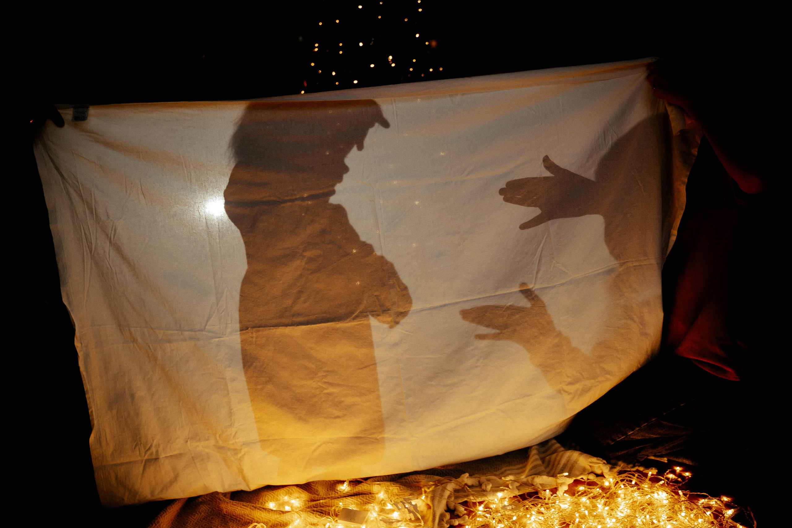 Семья Светланы