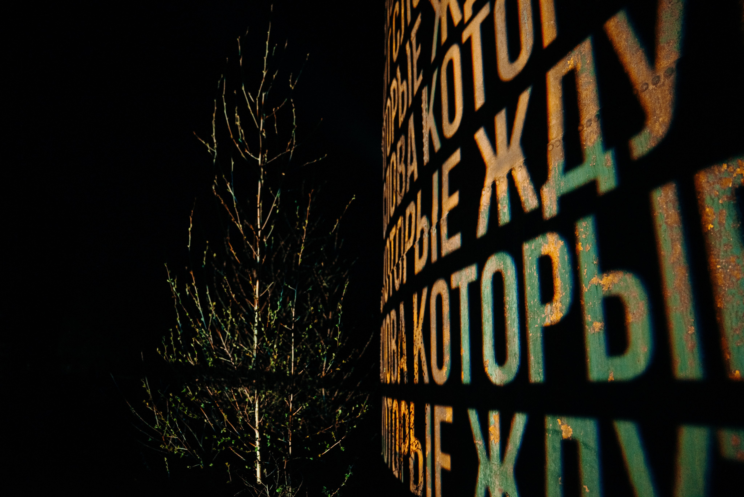 INTERVALS 2026. Фотограф Дарья Сафонова Dashulkacss