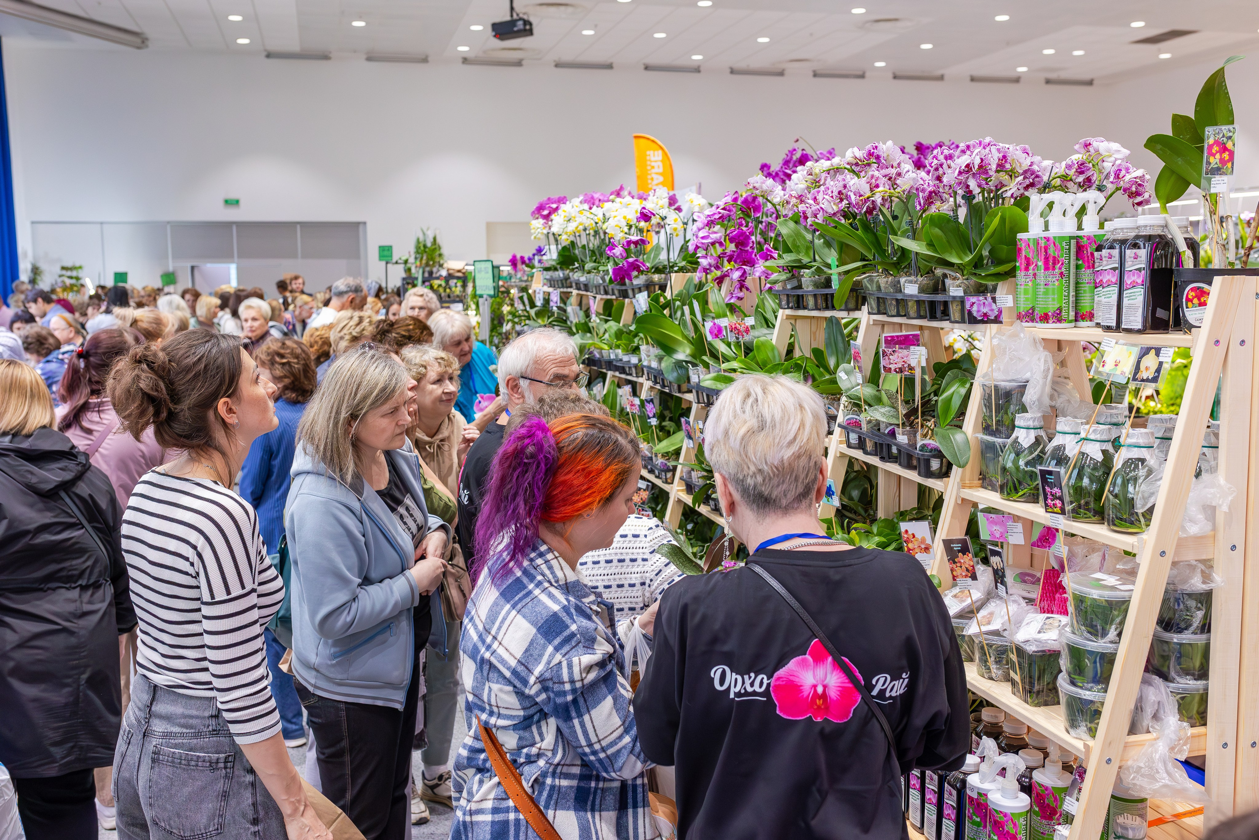 Орхидиум сентябрь 2025. Александра Куликова фотограф, Москва