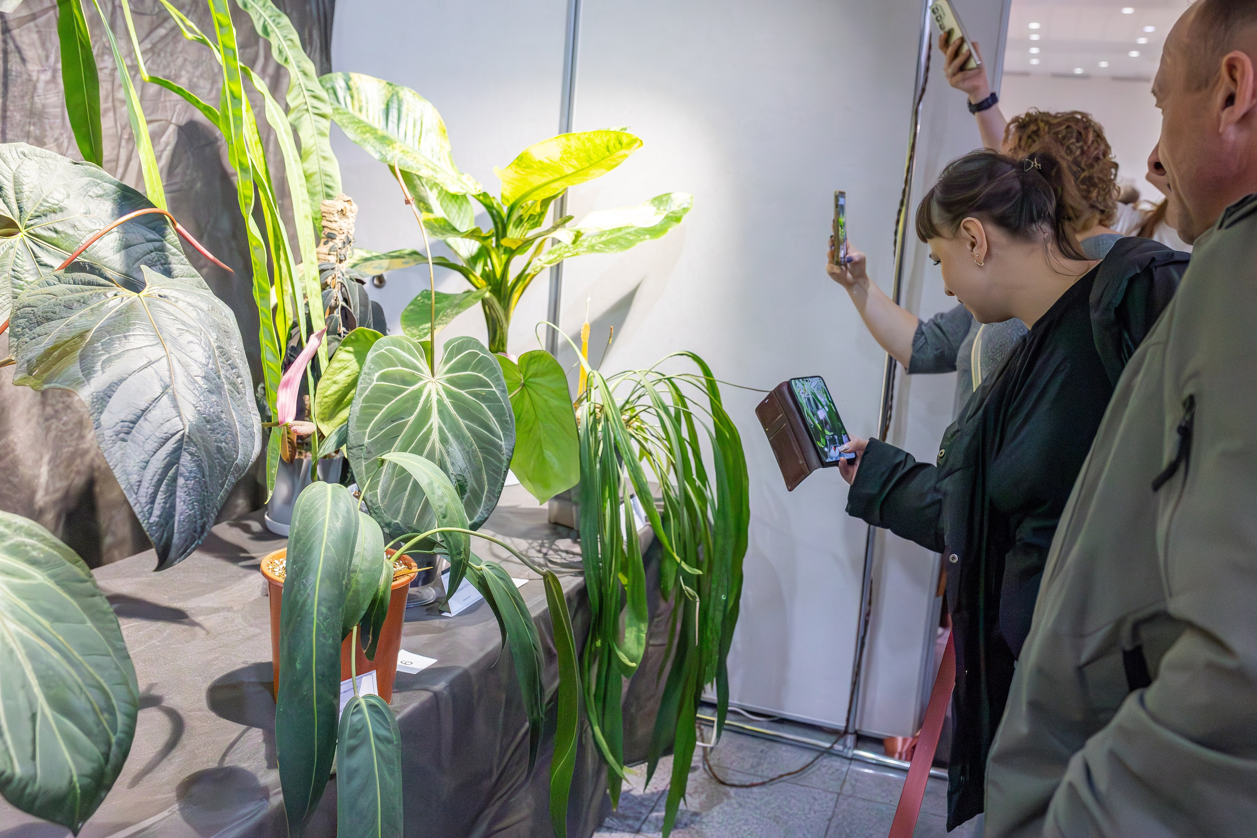 Монстериум апрель 2026. Александра Куликова фотограф, Москва