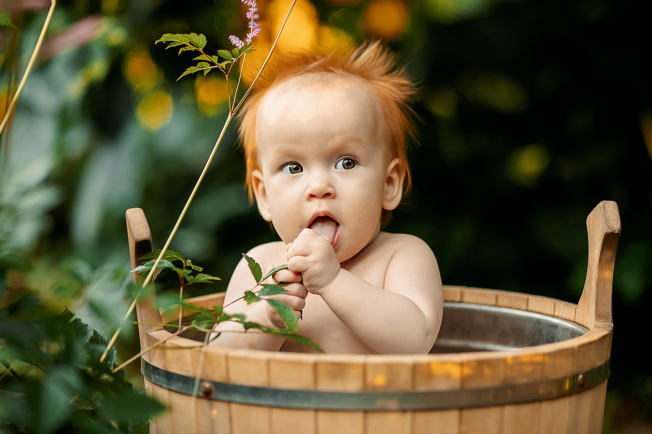 Лето. Главная