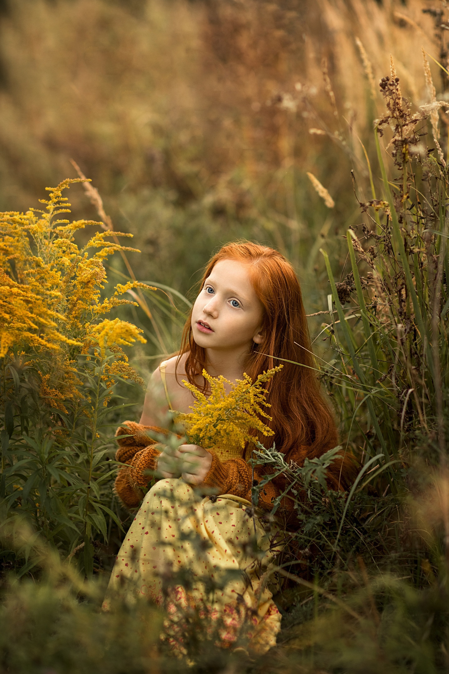 До/после ученики (вебинар). Наталья Рапопорт. Онлайн-курсы по фотографии и съемке видео