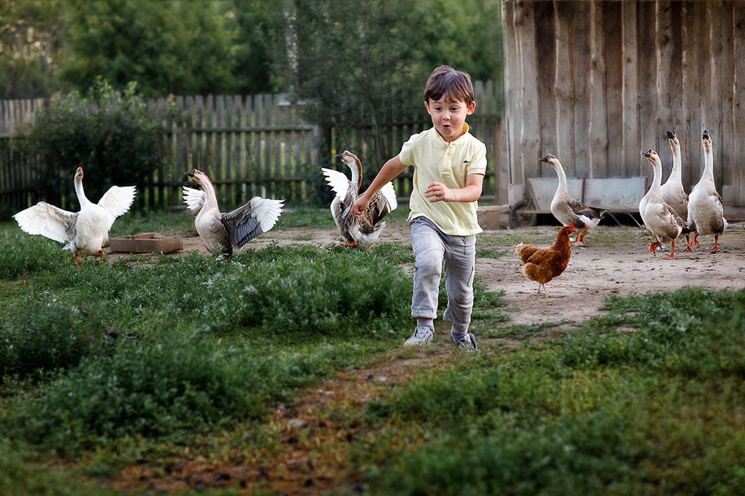 До/после преподавателя курса (вебинар). Наталья Рапопорт. Онлайн-курсы по фотографии и съемке видео