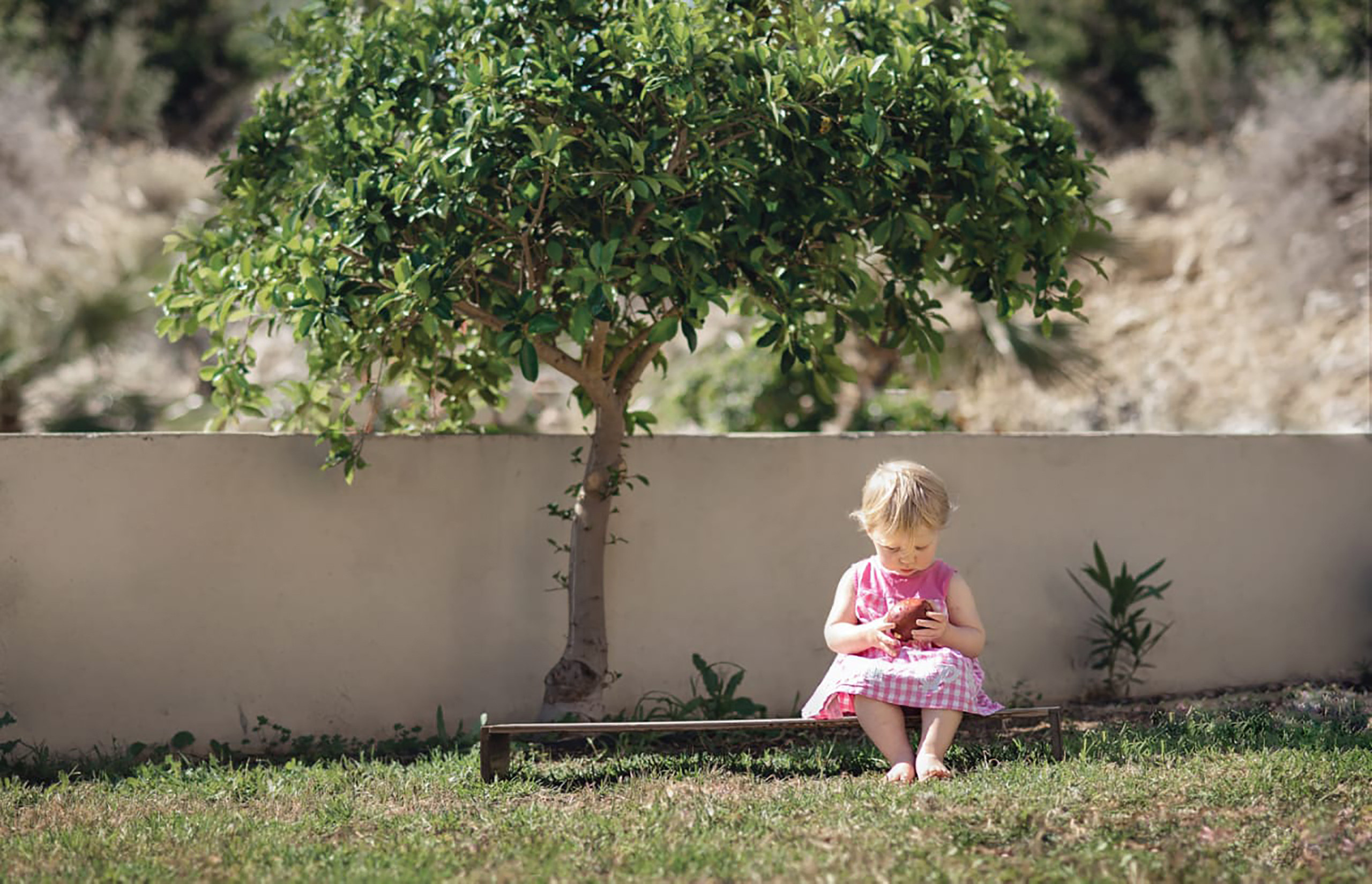 До/после ученики (вебинар). Наталья Рапопорт. Онлайн-курсы по фотографии и съемке видео