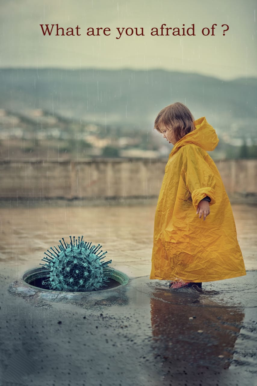 До/после ученики (вебинар). Наталья Рапопорт. Онлайн-курсы по фотографии и съемке видео
