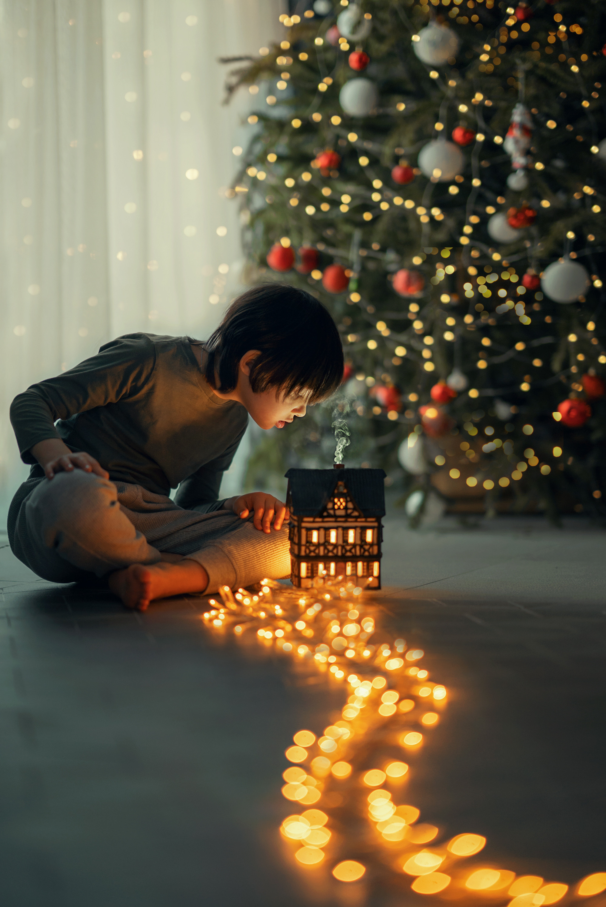 До/после преподавателя курса (вебинар). Наталья Рапопорт. Онлайн-курсы по фотографии и съемке видео