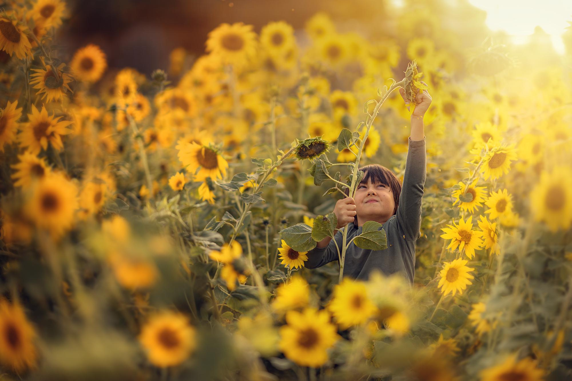 До/после преподавателя курса (вебинар). Наталья Рапопорт. Онлайн-курсы по фотографии и съемке видео