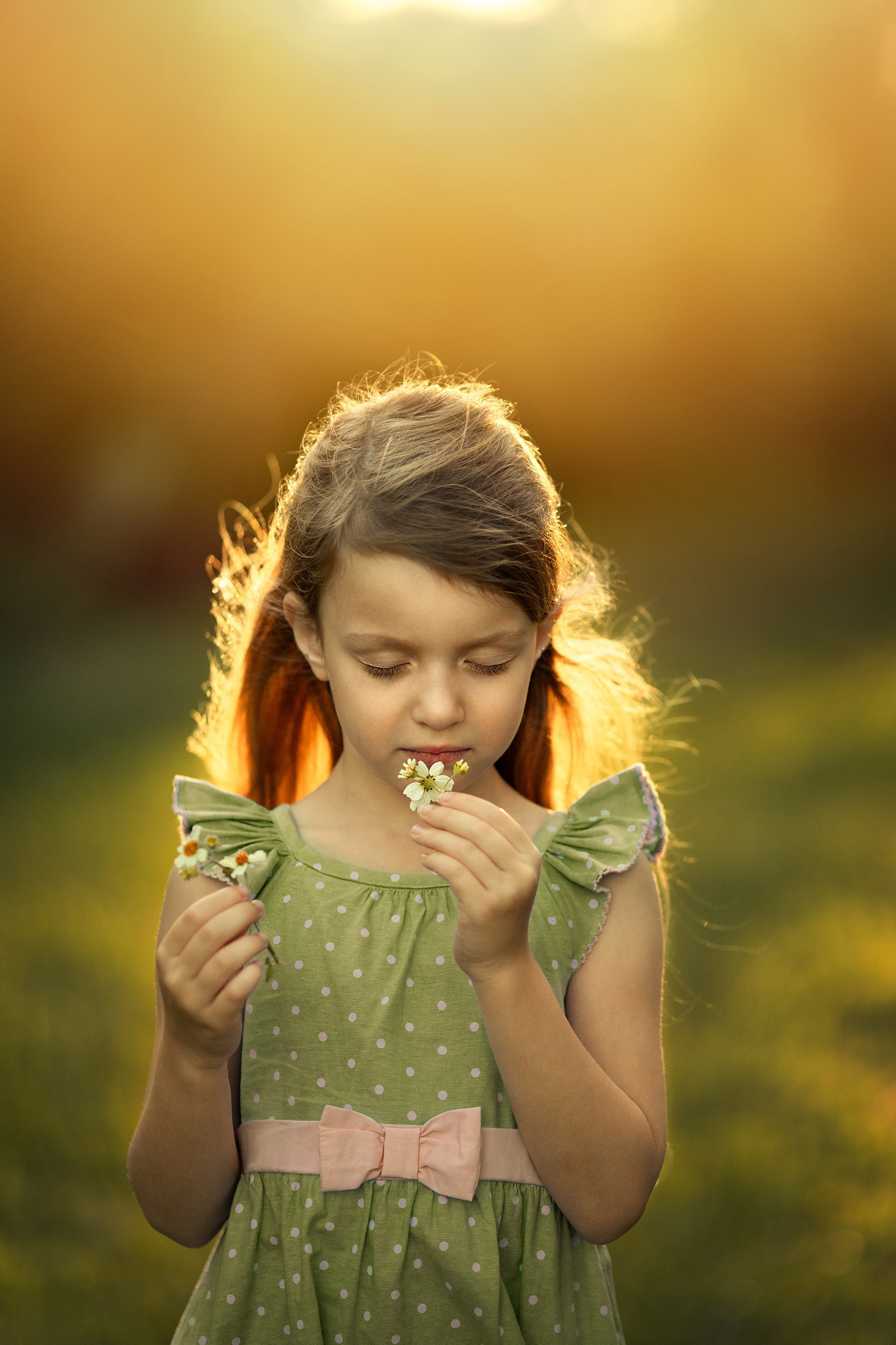 До/после ученики (вебинар). Наталья Рапопорт. Онлайн-курсы по фотографии и съемке видео