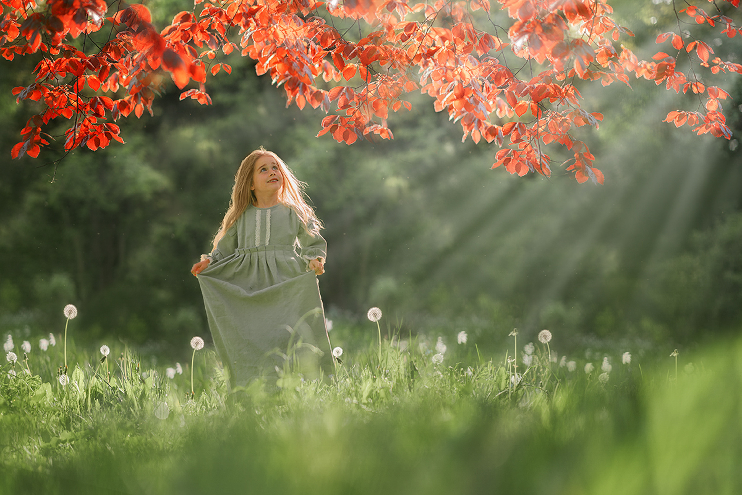 До/после преподавателя курса (вебинар). Наталья Рапопорт. Онлайн-курсы по фотографии и съемке видео