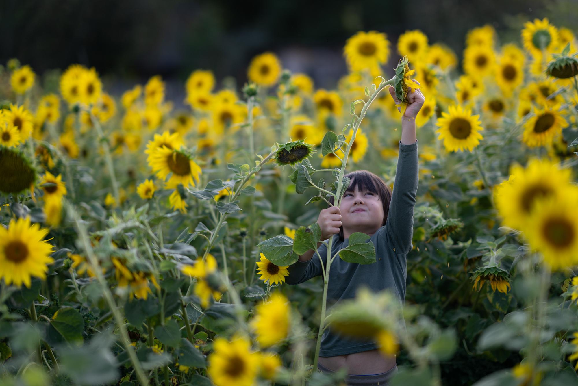 До/после преподавателя курса. Наталья Рапопорт. Онлайн-курсы по фотографии и съемке видео