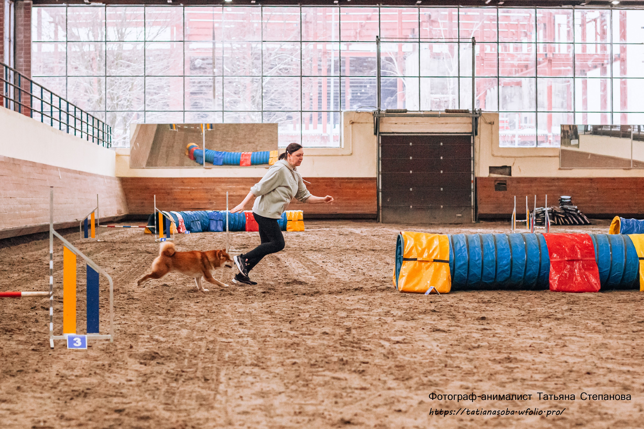 Соревнования по Аджилити 25.02.2024. Фотограф-анималист Татьяна Степанова