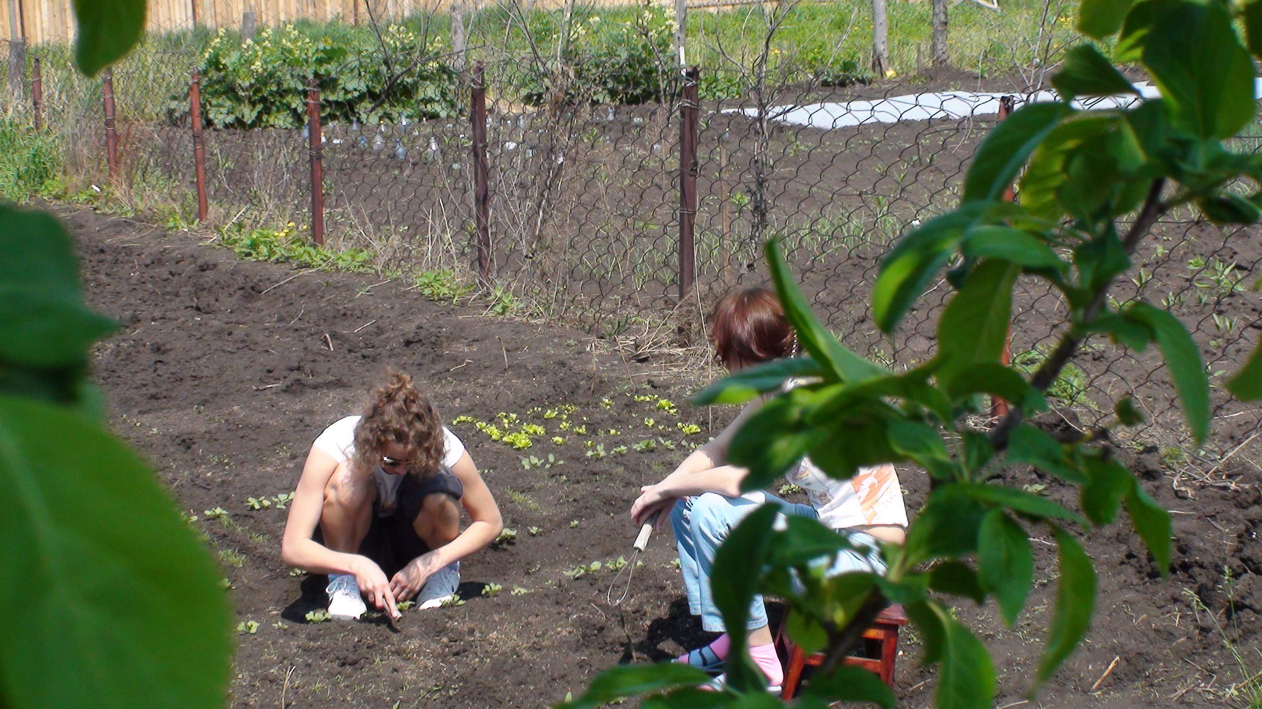 Дача 07.06.2009. Семейный, Свадебный фотограф СПБ Питер— Романова Екатерина