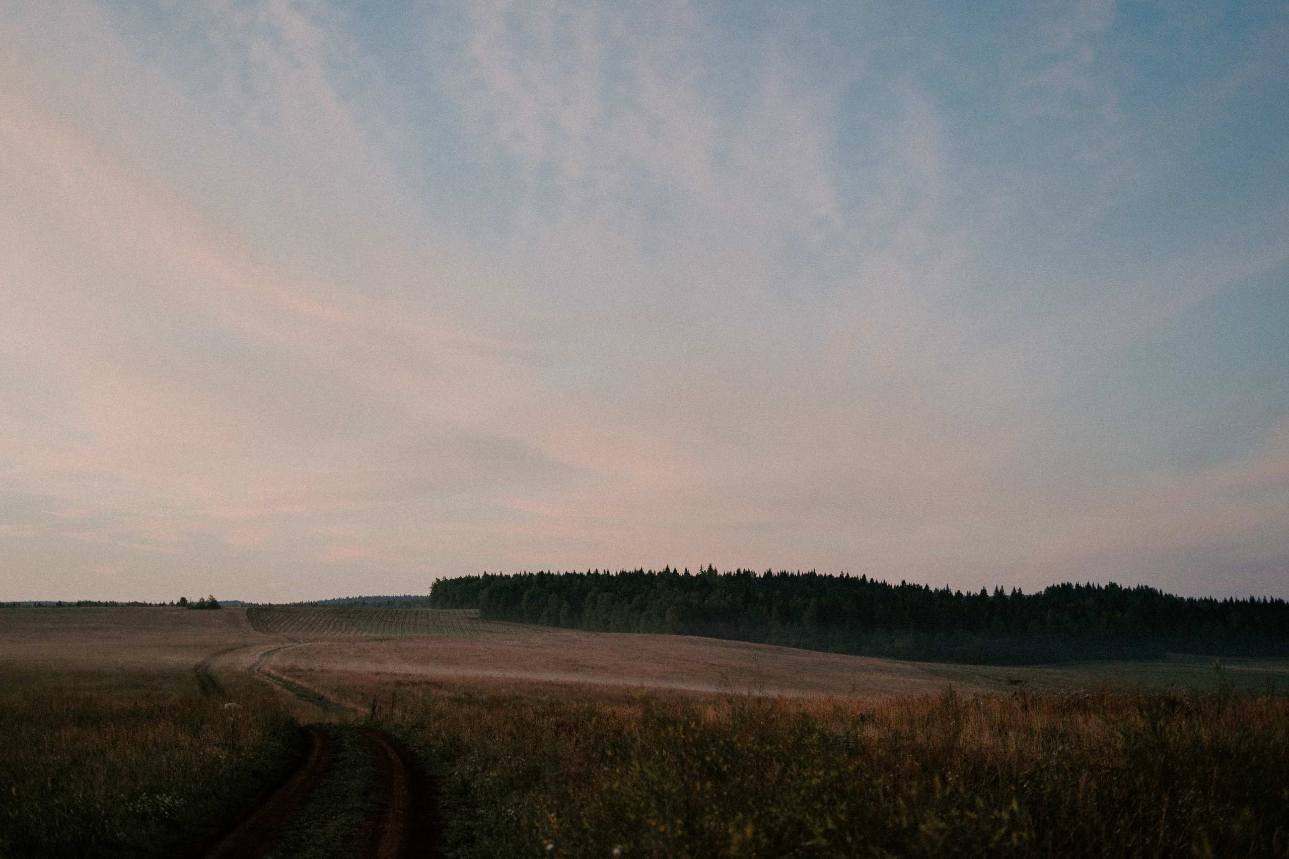 Катя и Забава'21. Семейный фотограф в Перми | Юлия Ожгибесова