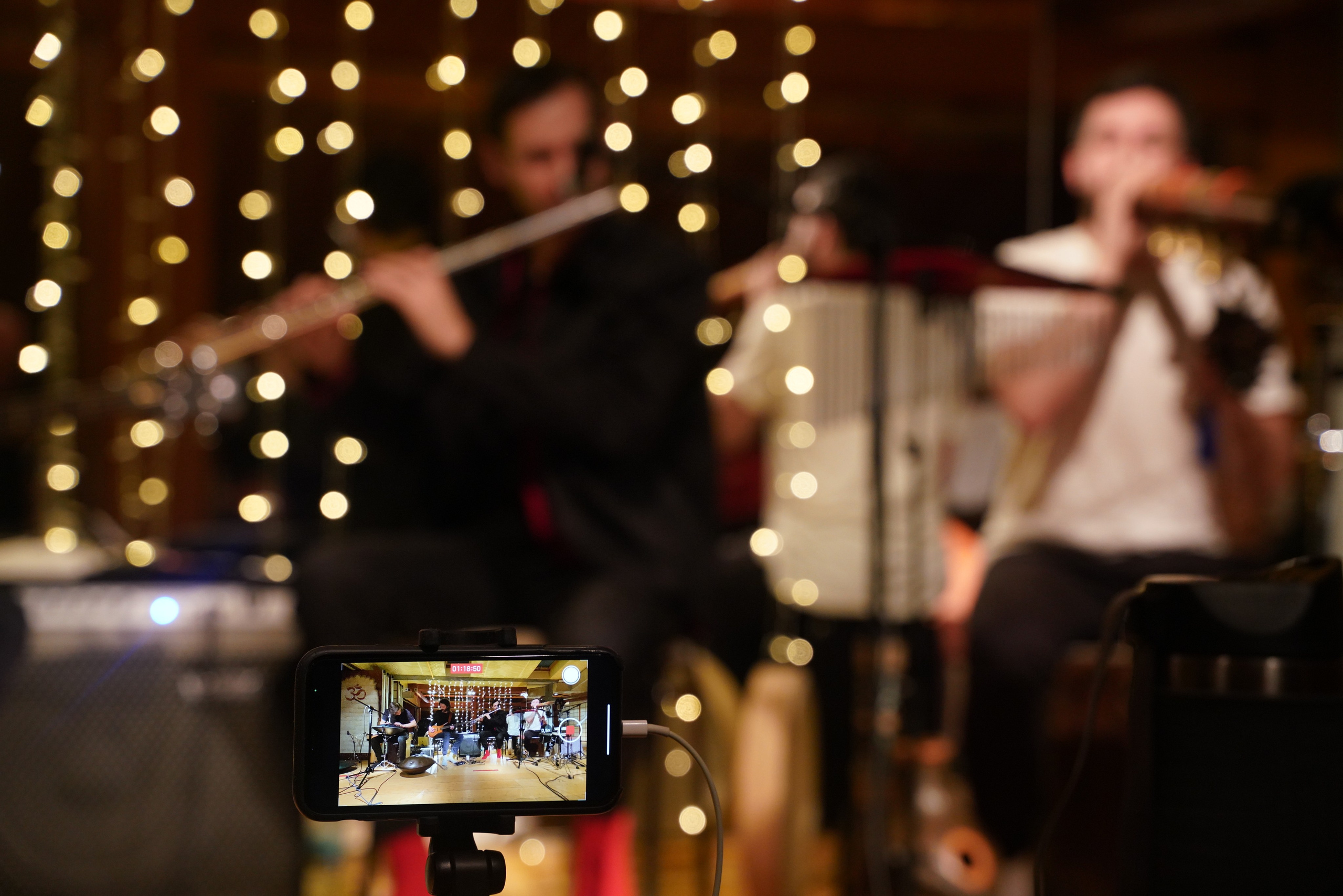 Концерт Forest jam project. Портретный и репортажный фотограф Наталья Горобец