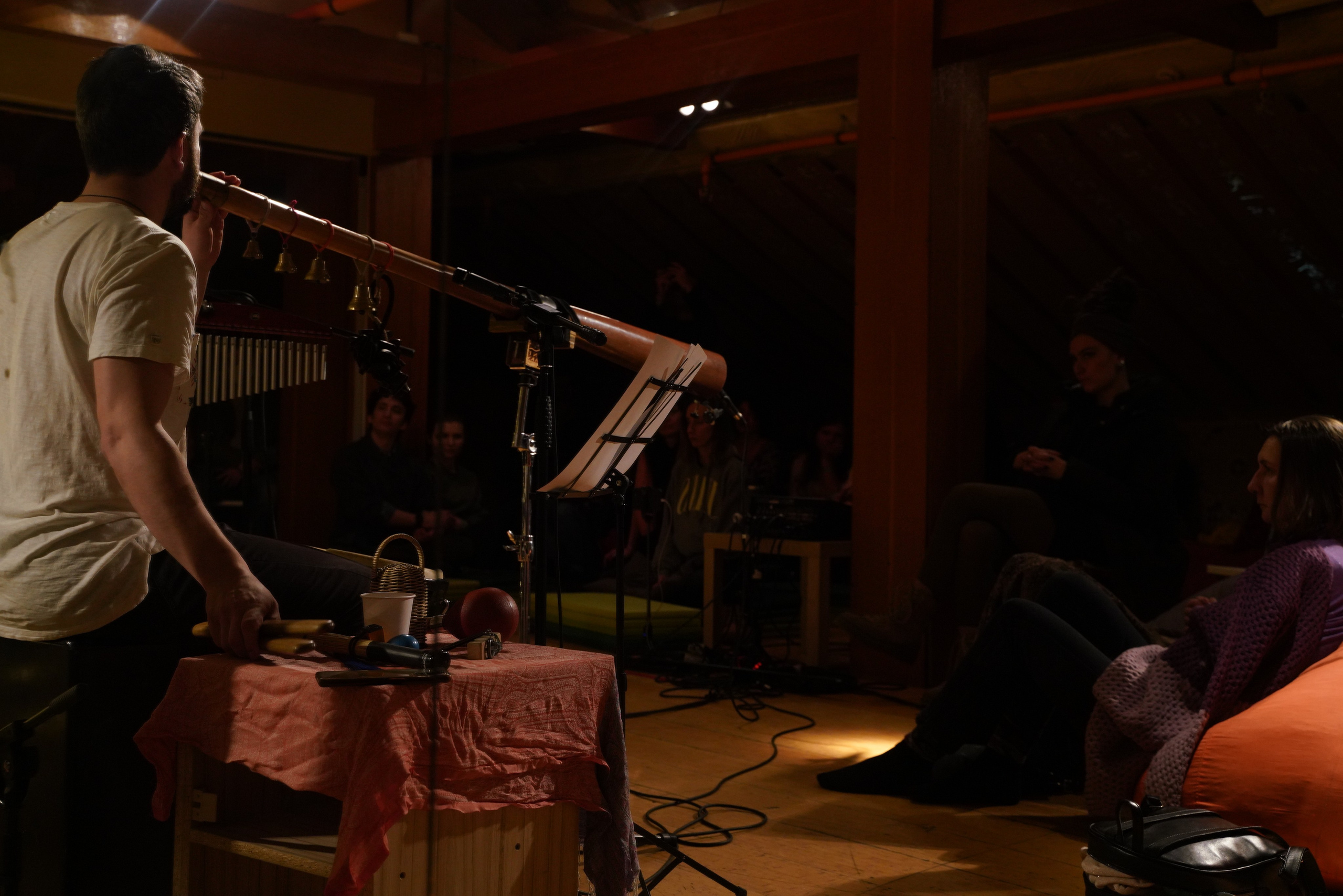 Концерт Forest jam project. Портретный и репортажный фотограф Наталья Горобец