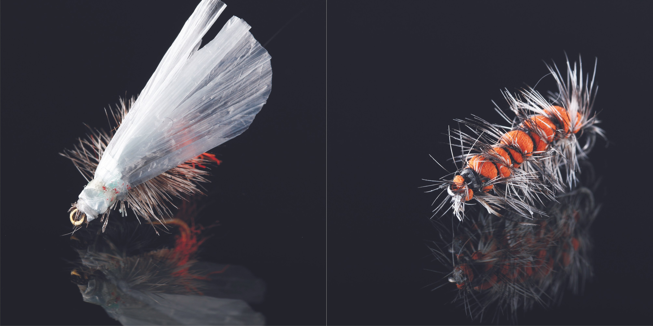 Макросъёмка. Medlori fotobook Выпускные альбомы в Липецке Лариса Медведева