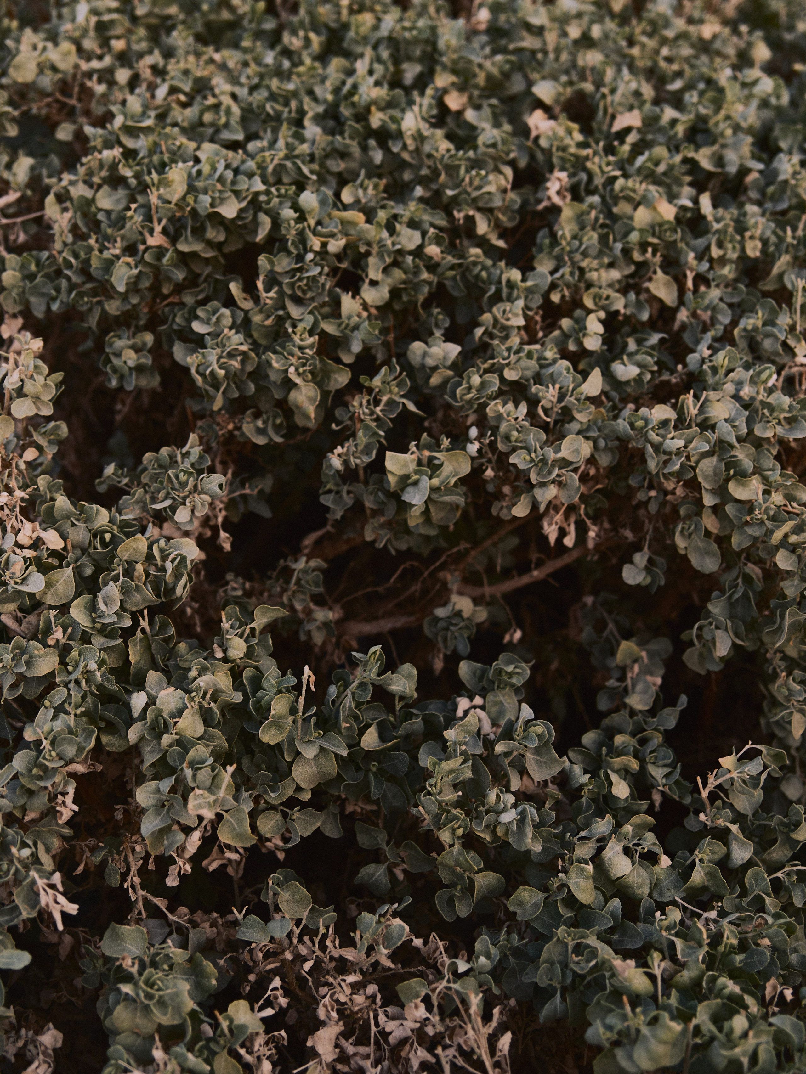 Природа. Jorgis Talè — photographer, kind person, teacher of arts and other mag