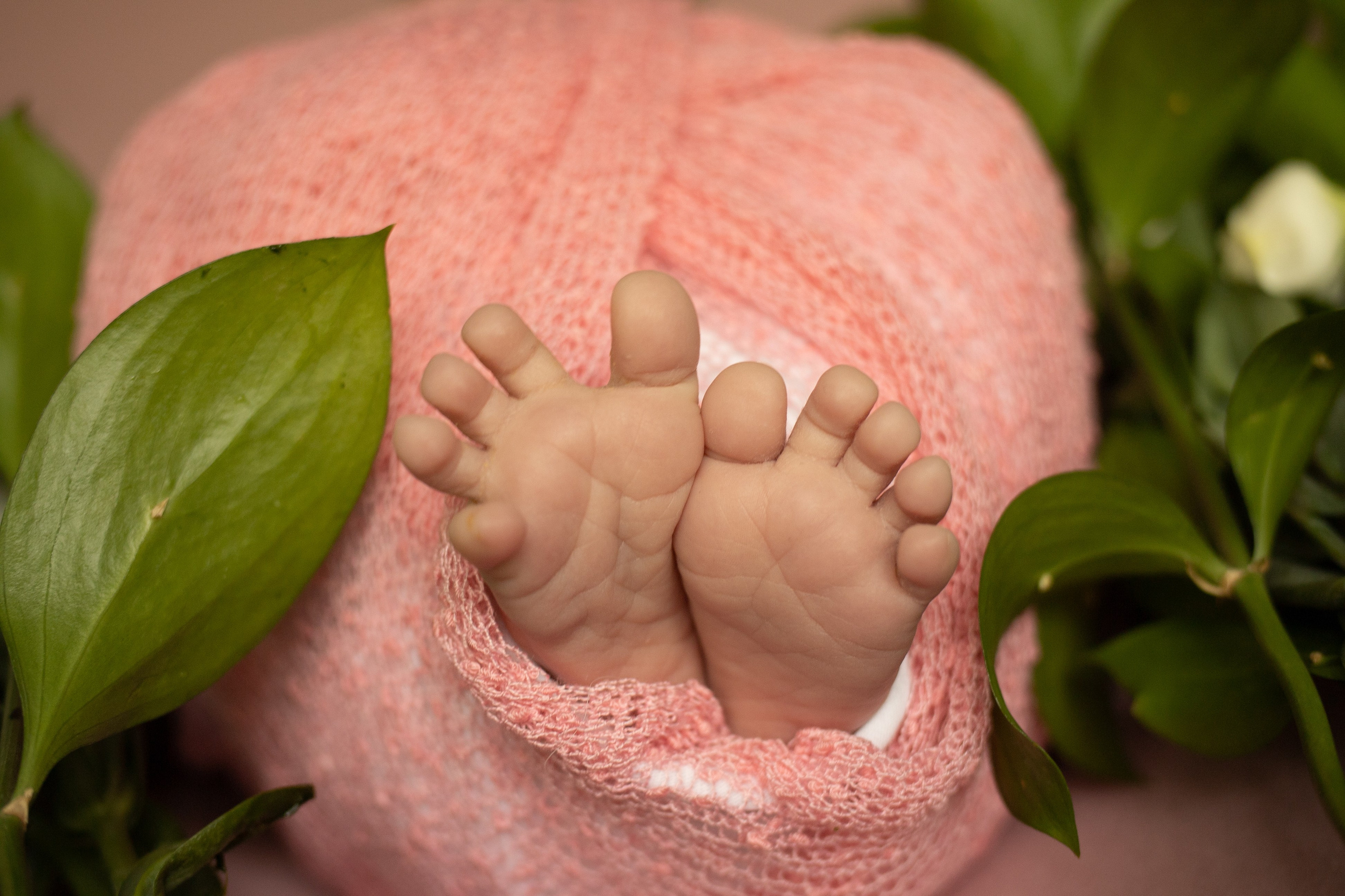 Новорожденные. Фотограф новорожденных в Екатеринбурге