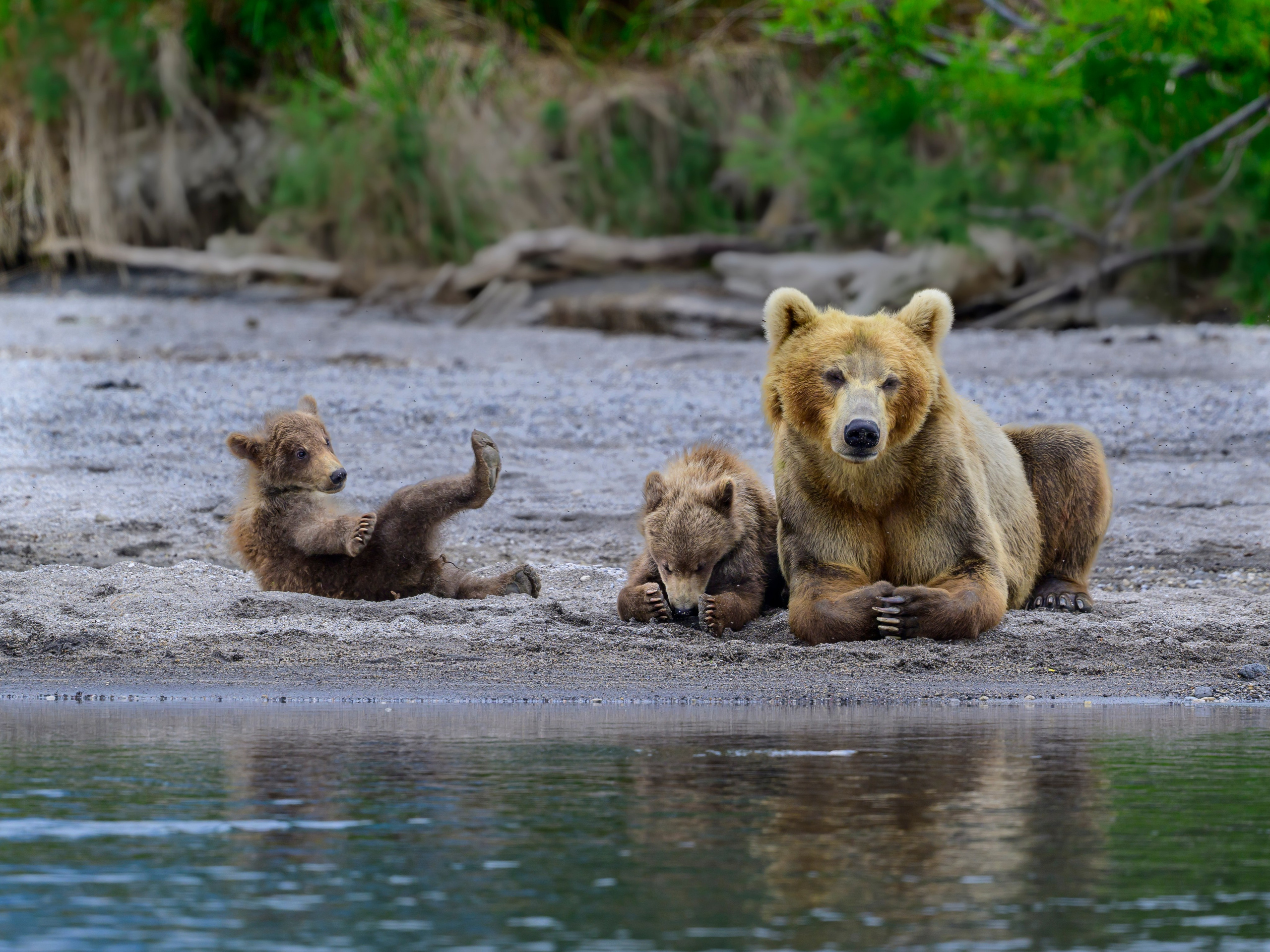 Фотограф Сергей Пупонин