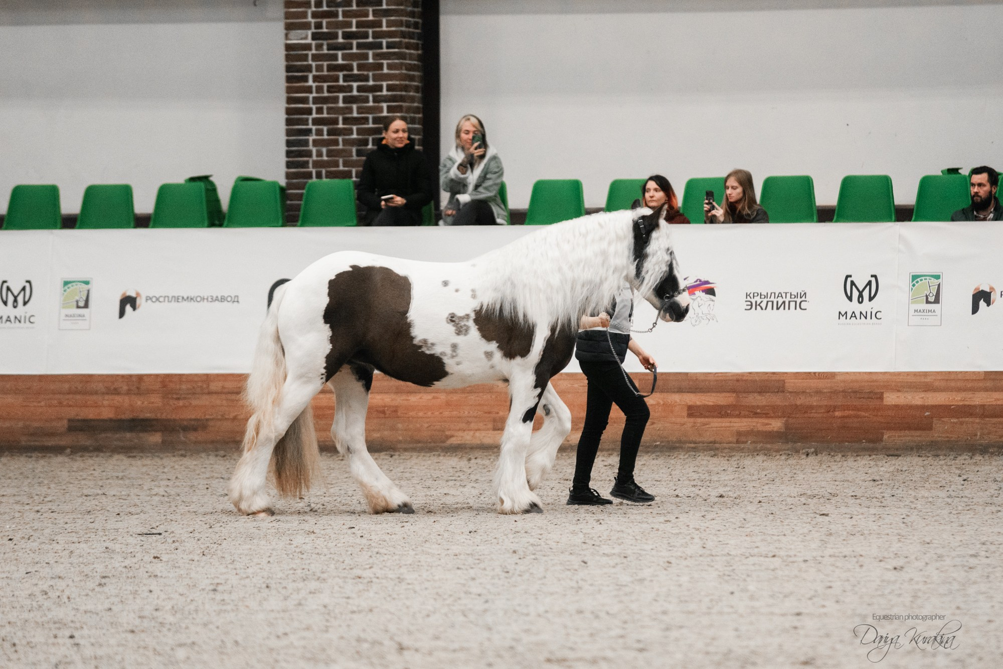 8-я международная выставка Конная Россия. Конный фотограф Куракина Дарья • Фотосессии с лошадьми
