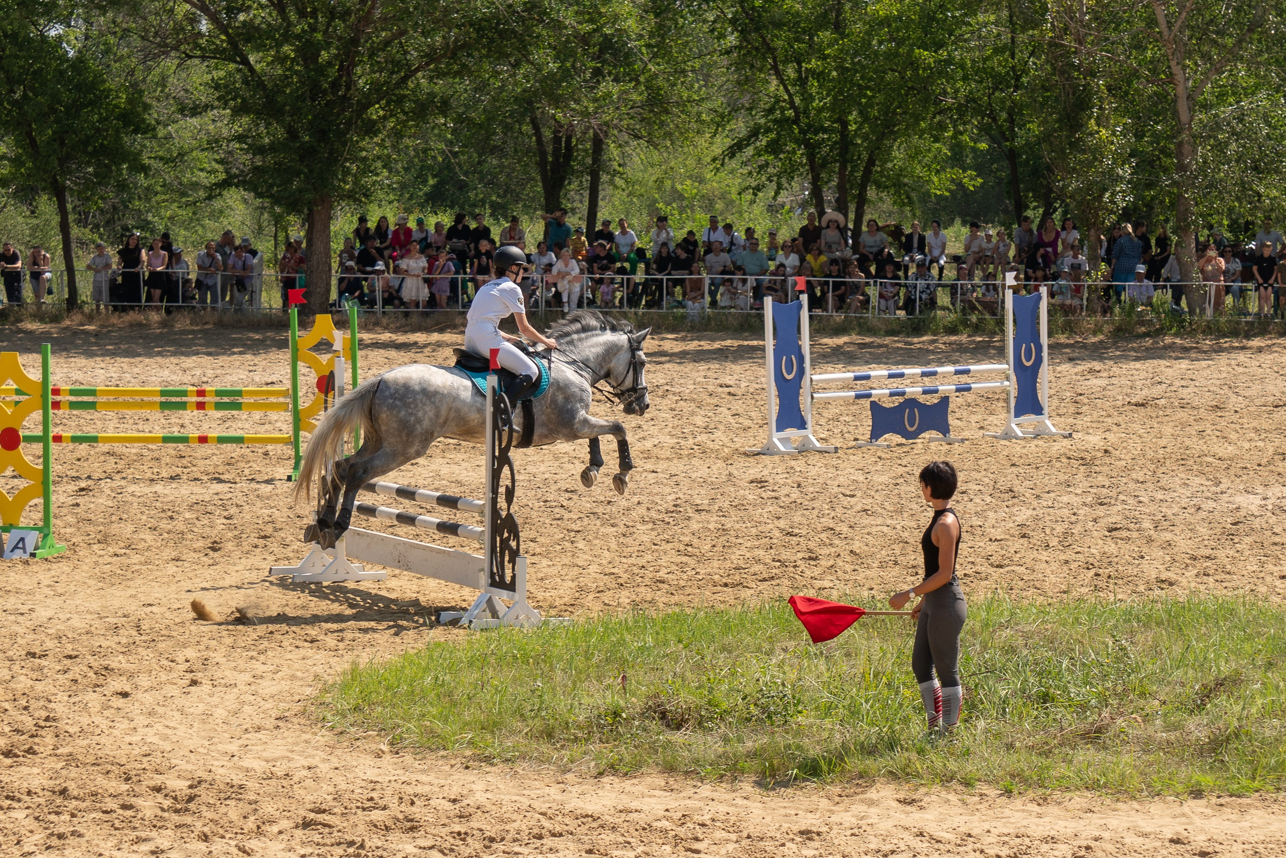 Соревнования по конкуру, Луганск. Фотограф в РФ и ЛНР Юлия Федосеева