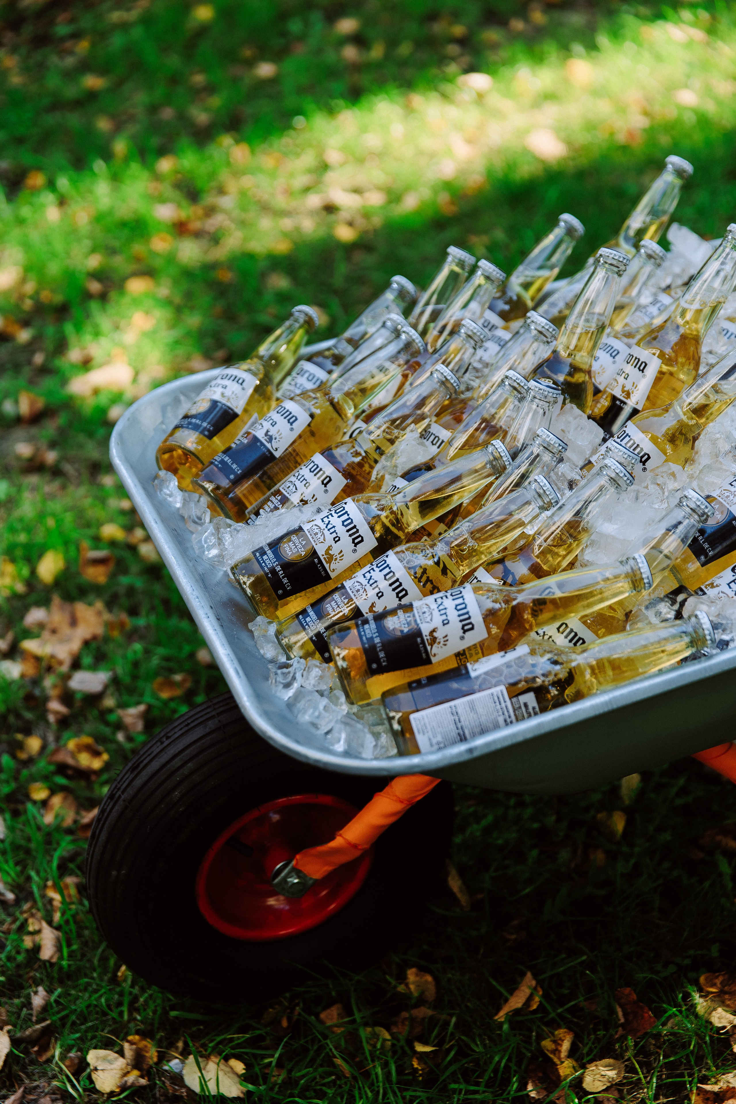 Антонина & Ярослав