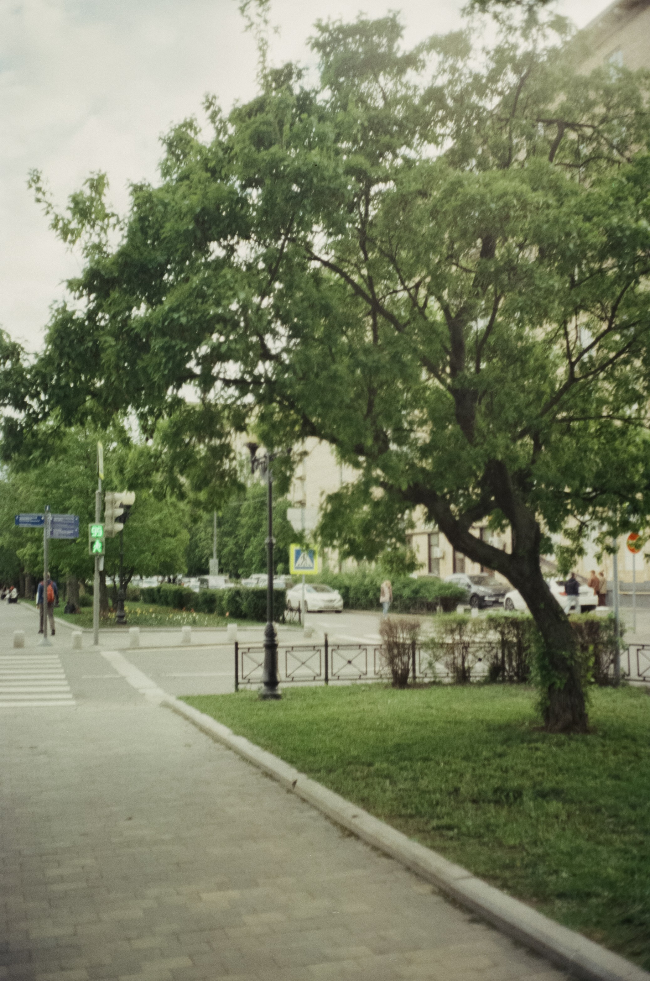 Ricoh FF-1 gray | Perspekriva expired Vision 200D | Фрунзенская набержная 5 мая 2025 года