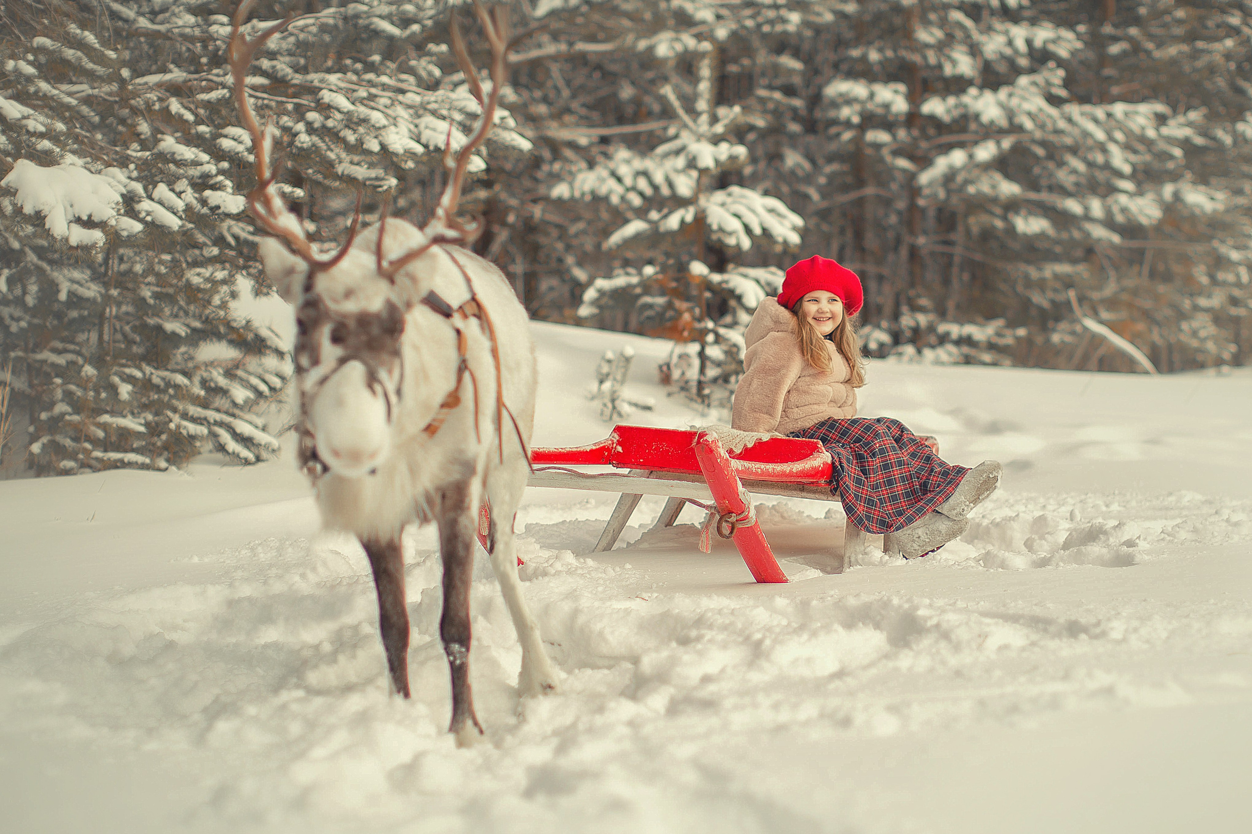 На ферме!. Индивидульный, семейный и детский фотограф в Тюмени Елена Пахомычева