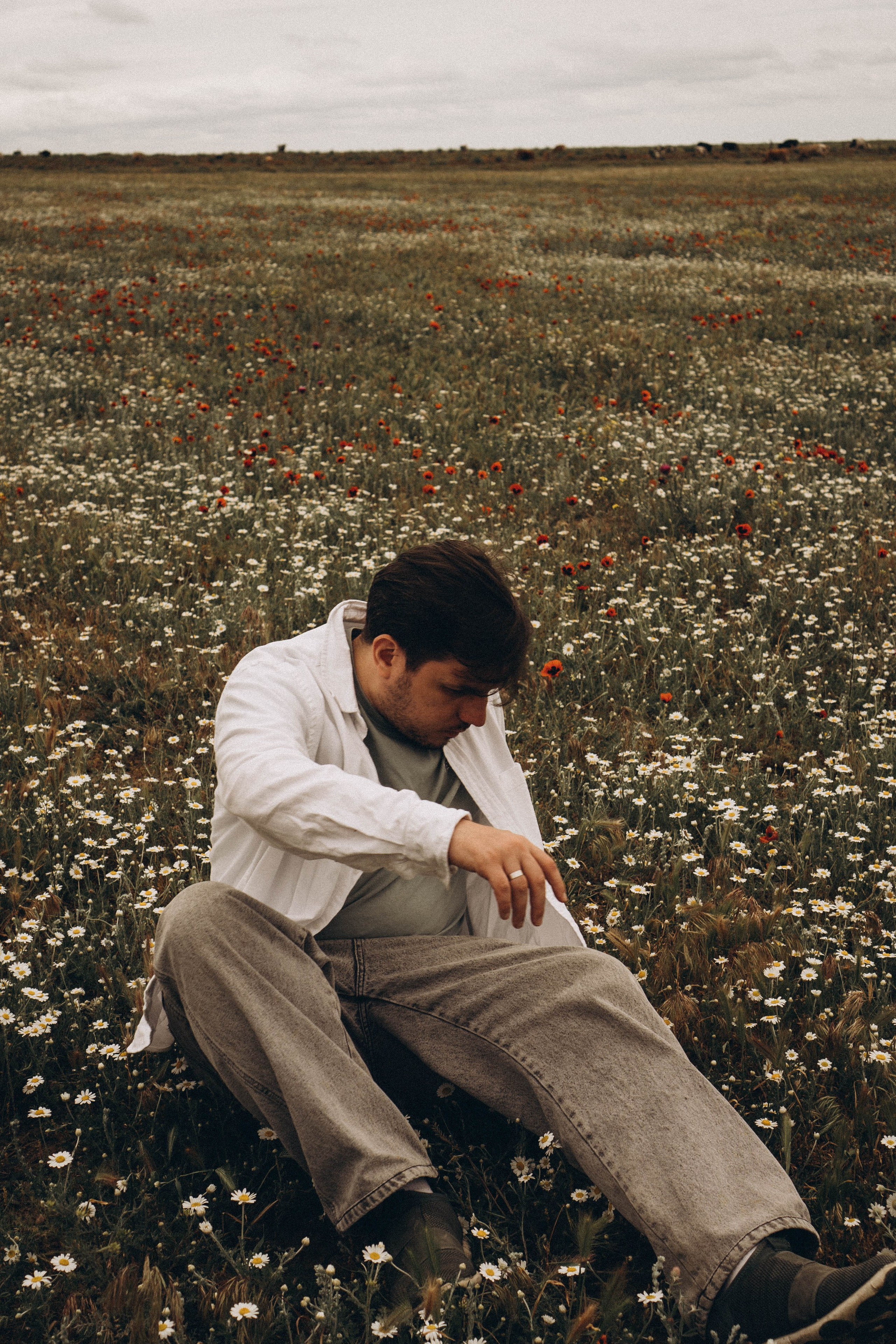 Маки. Профессиональный фотограф, Санкт-Петербург — Виктория Богомолова