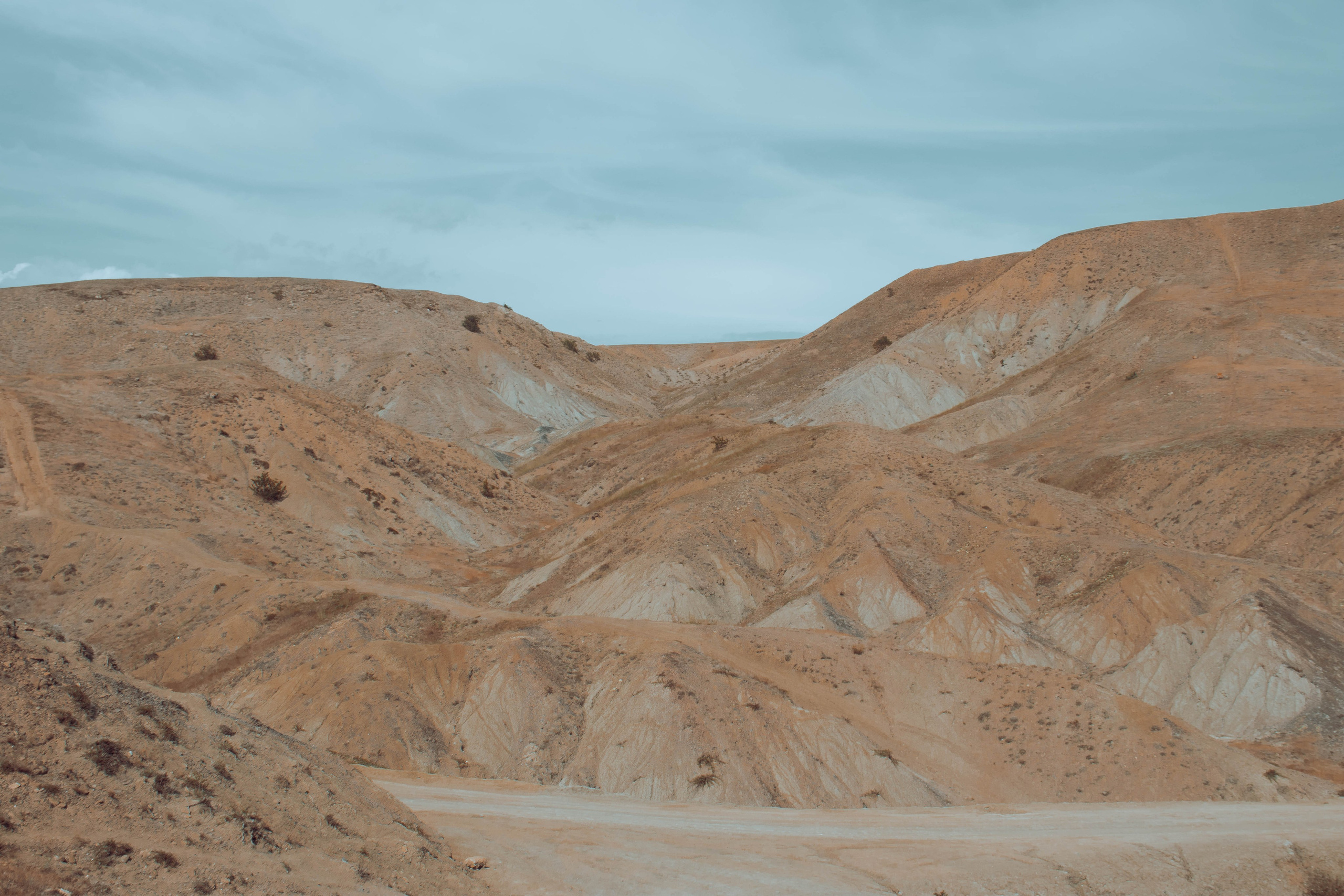 ПРИНТЫ. Виктория Князева| фотограф из Санкт-Петербурга