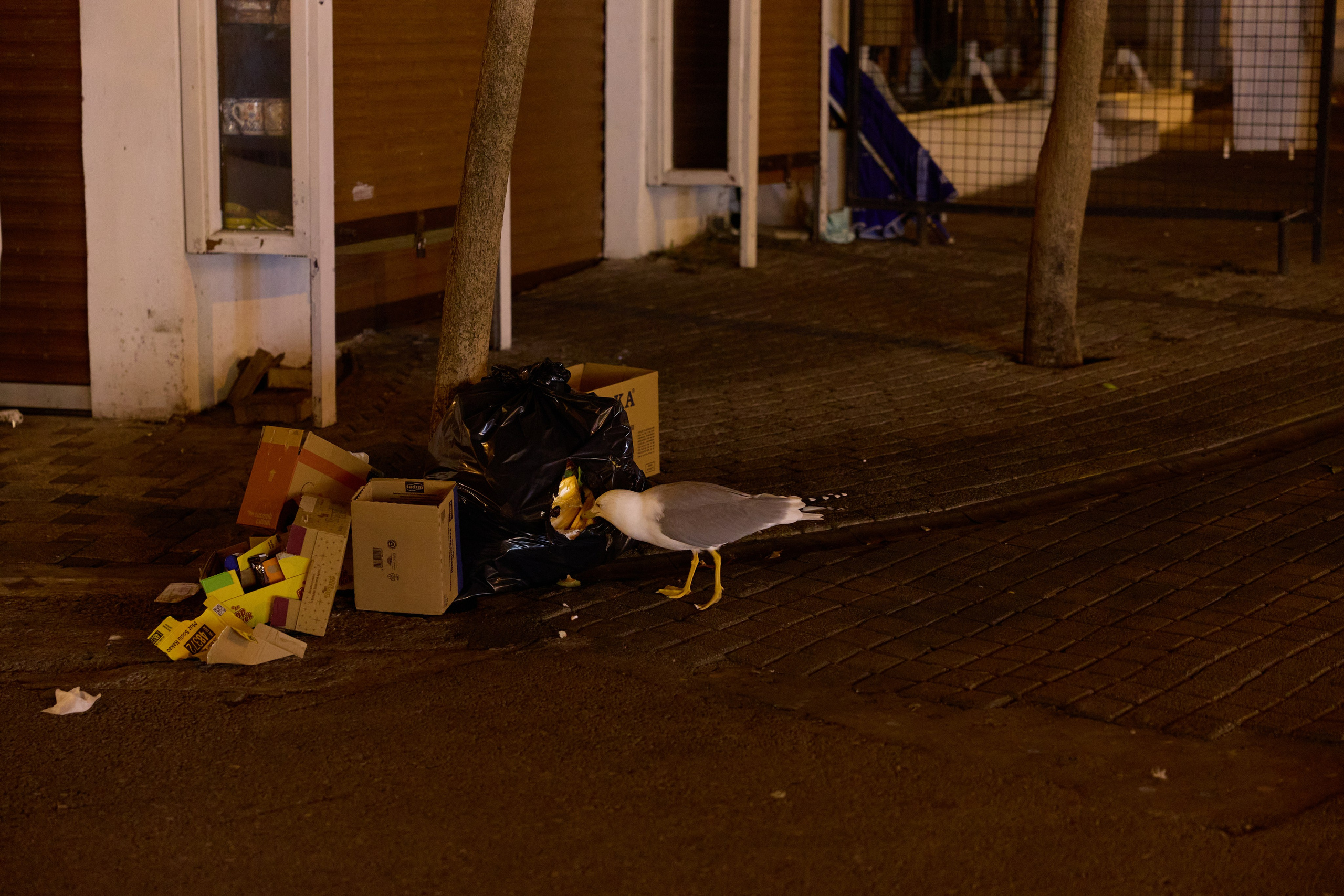 Стамбул 24. Фотограф Москва, Дима Пеллер