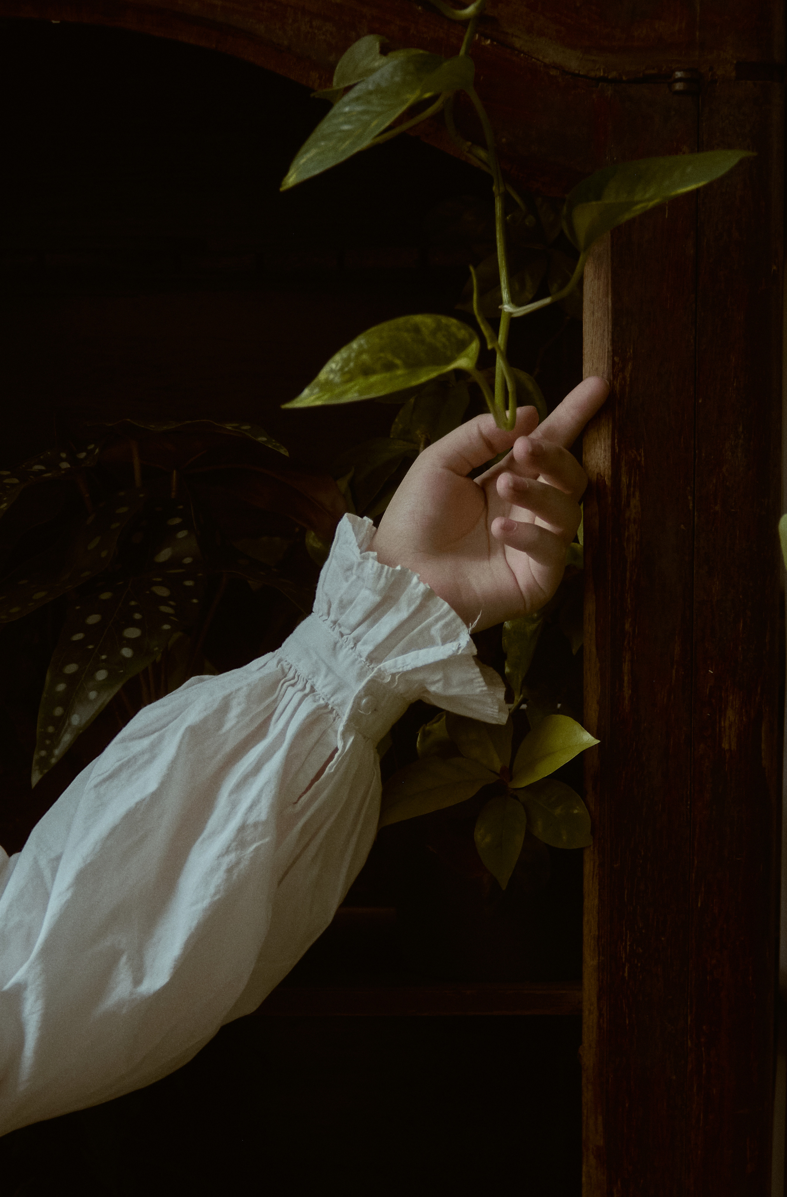 Оранжерея. Фотограф лавстори Москва/МО Приятелева Ангелина