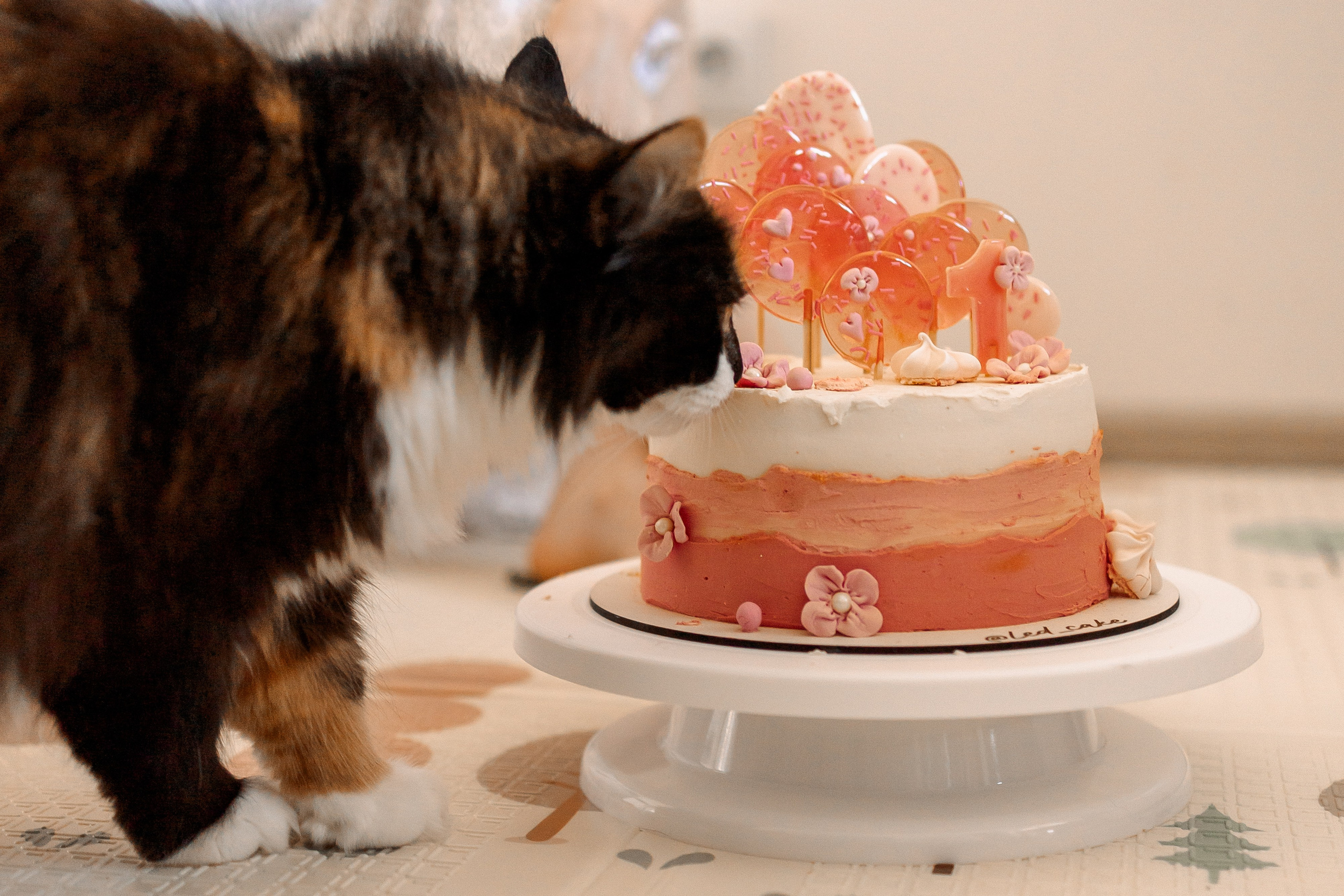 Первый день рождения малышки. Семейный Фотограф в Москве Евгения Симоненко