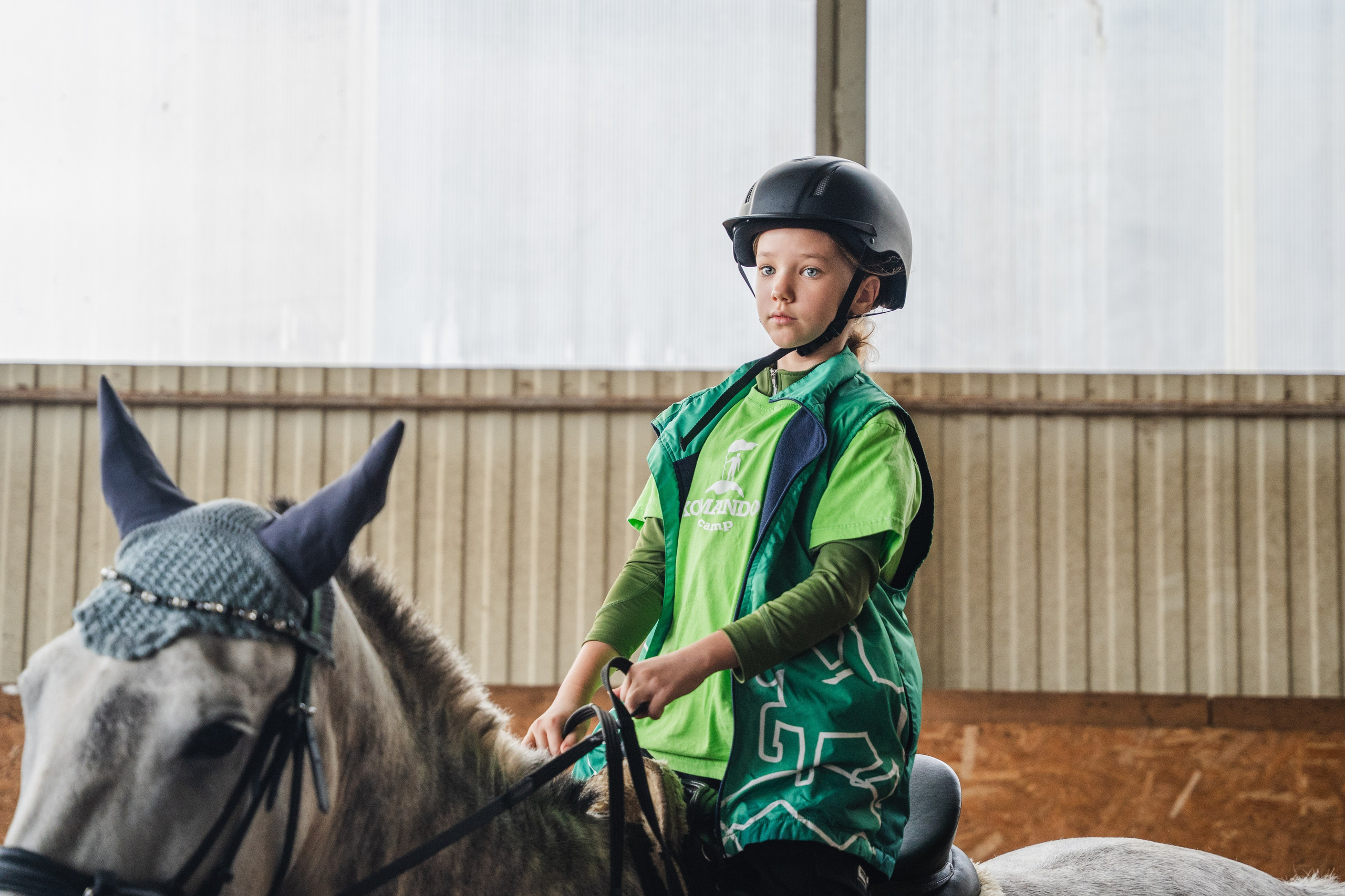 Конное занятие. Главная