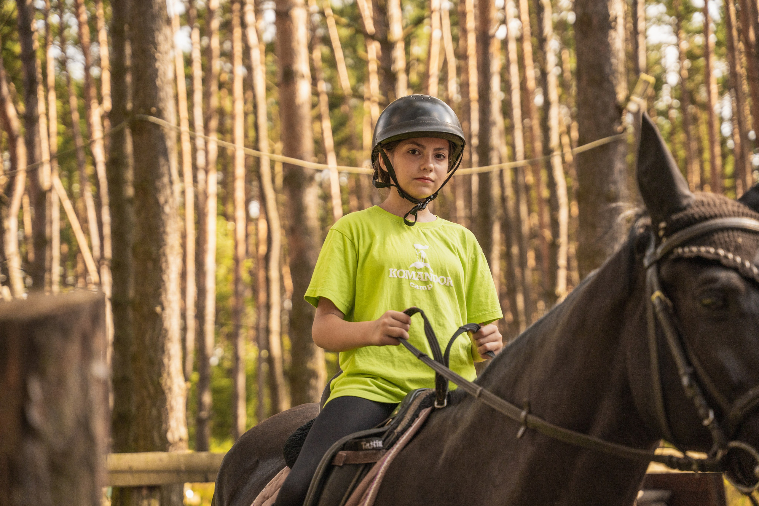 Конное занятие. Главная
