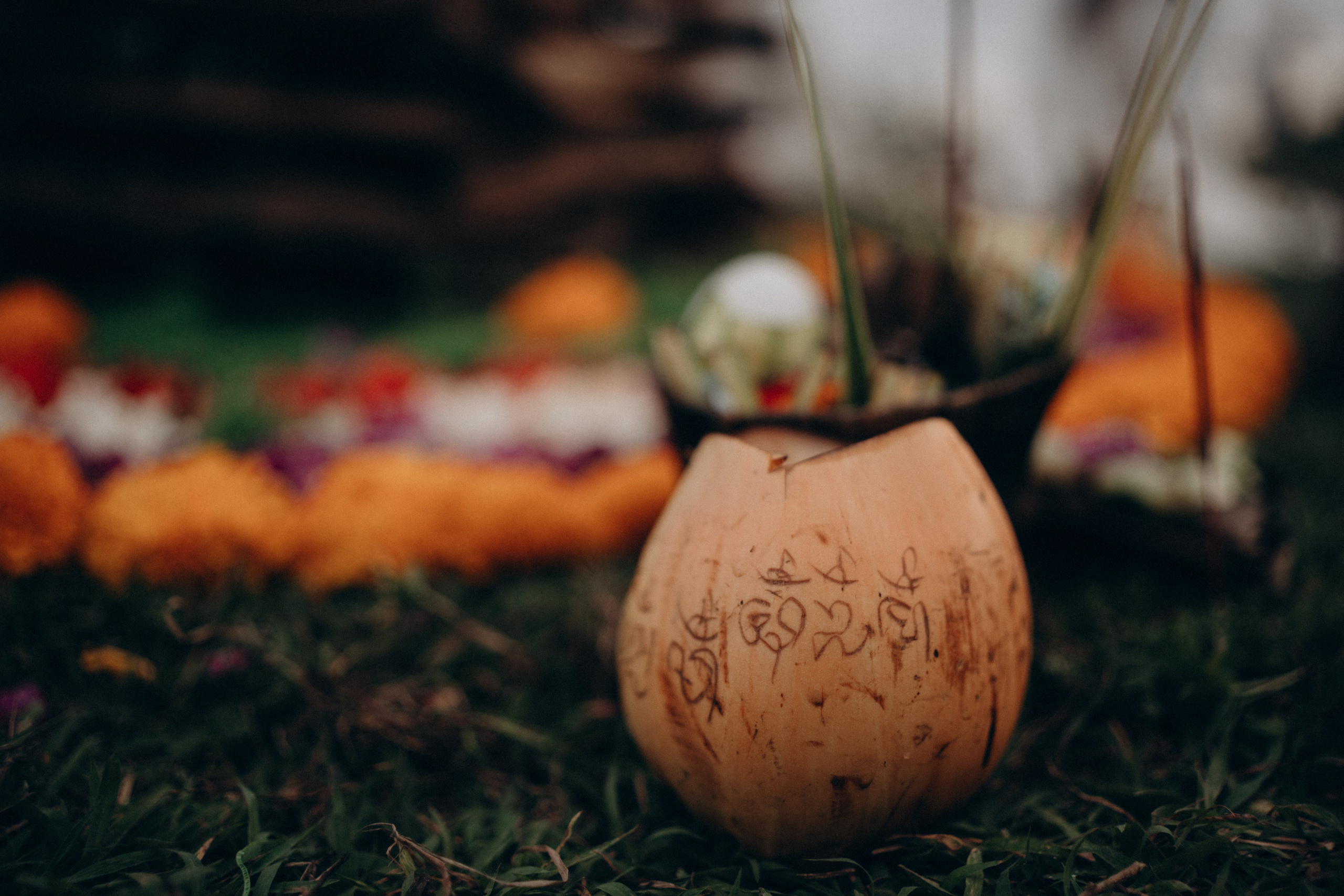 Лена и Кай. Olga Antipova — photographer