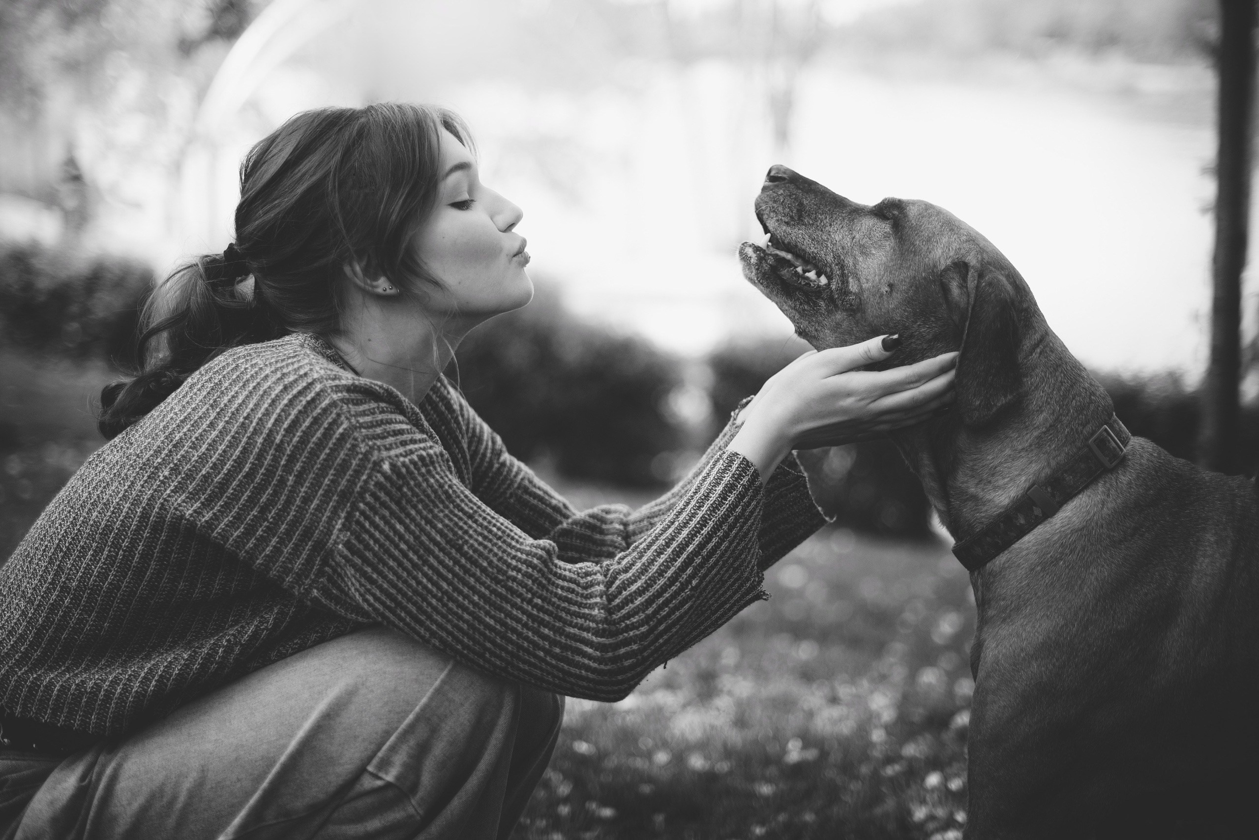 Love story: человек + собака. Фотограф-анималист Мария Орсеева, Краснодар